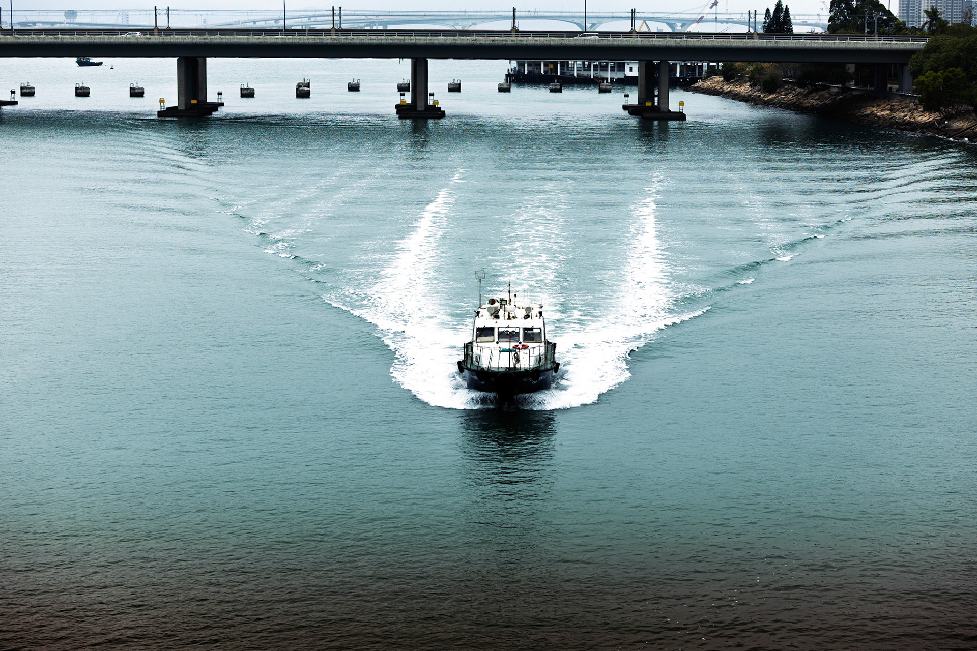 A quiet rhythm unfolds as fishermen bring in the day's work