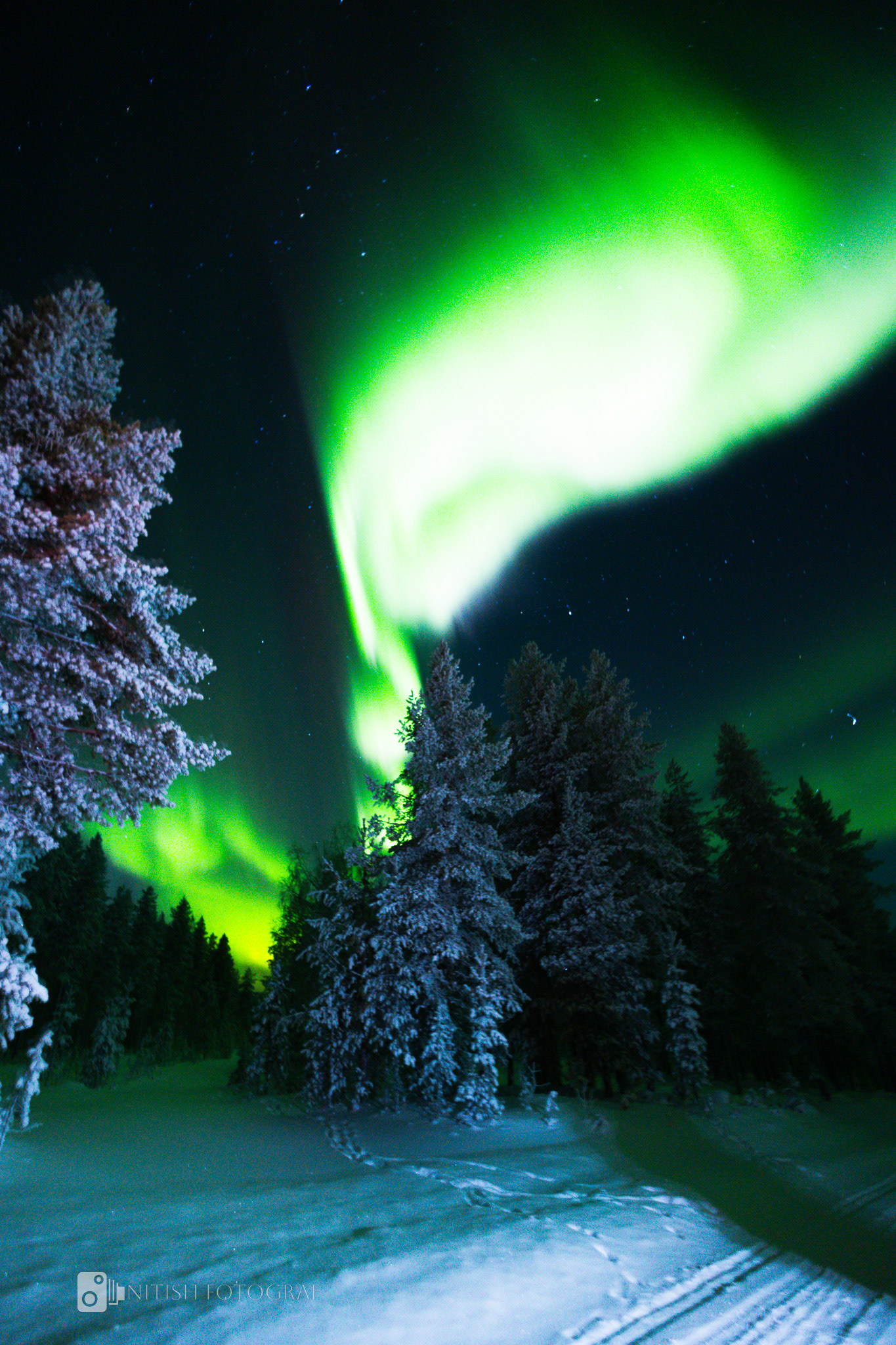 The aurora borealis painting the sky with vibrant strokes of green and blue