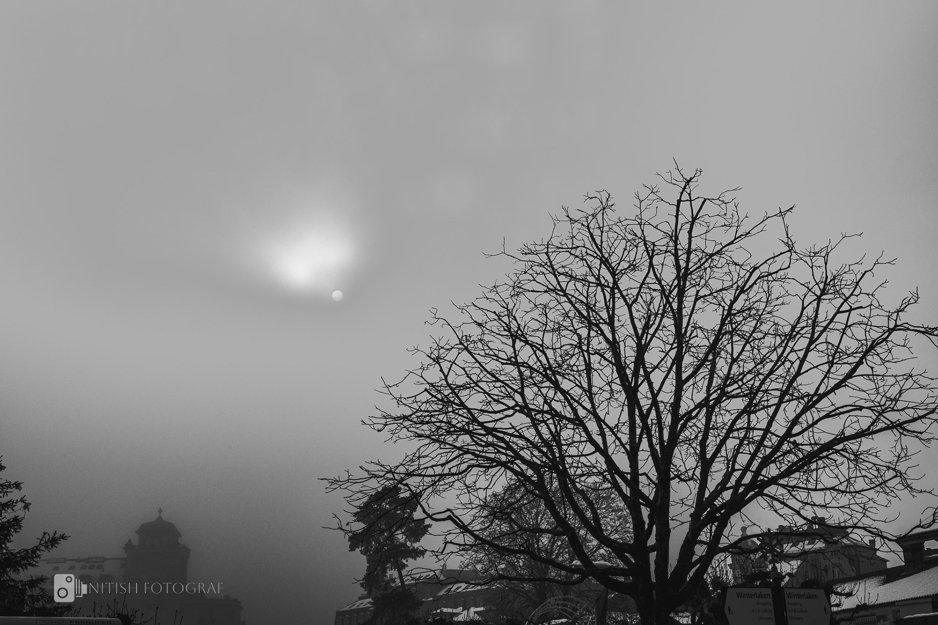 A solitary tree standing quietly under the fading glow of a winter sunset