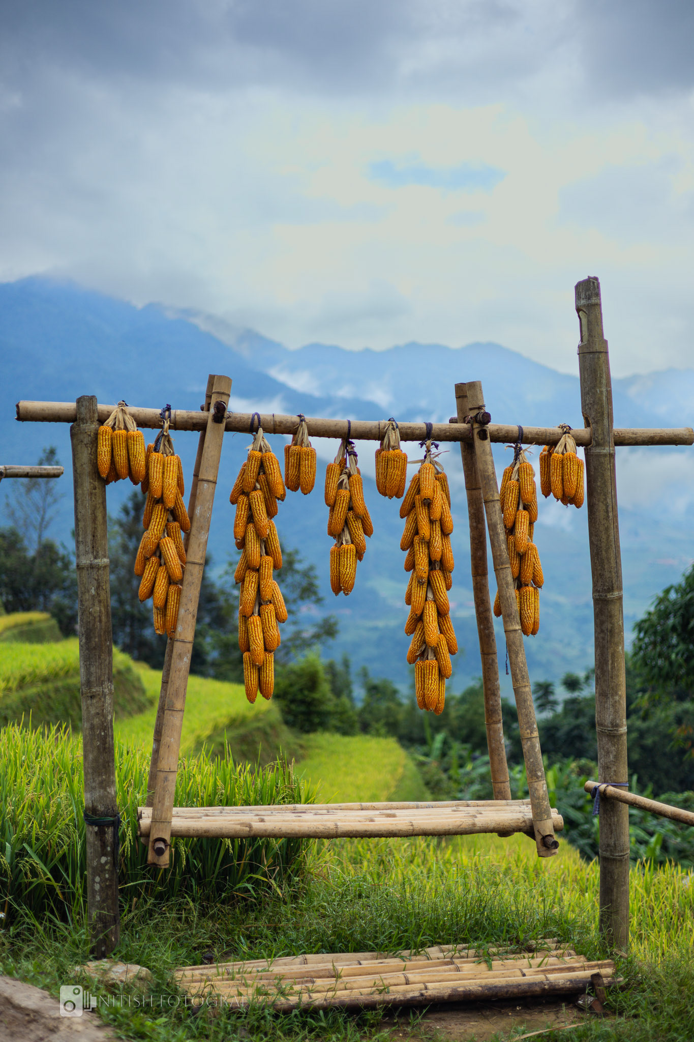 A rustic fence standing against a backdrop of towering mountains