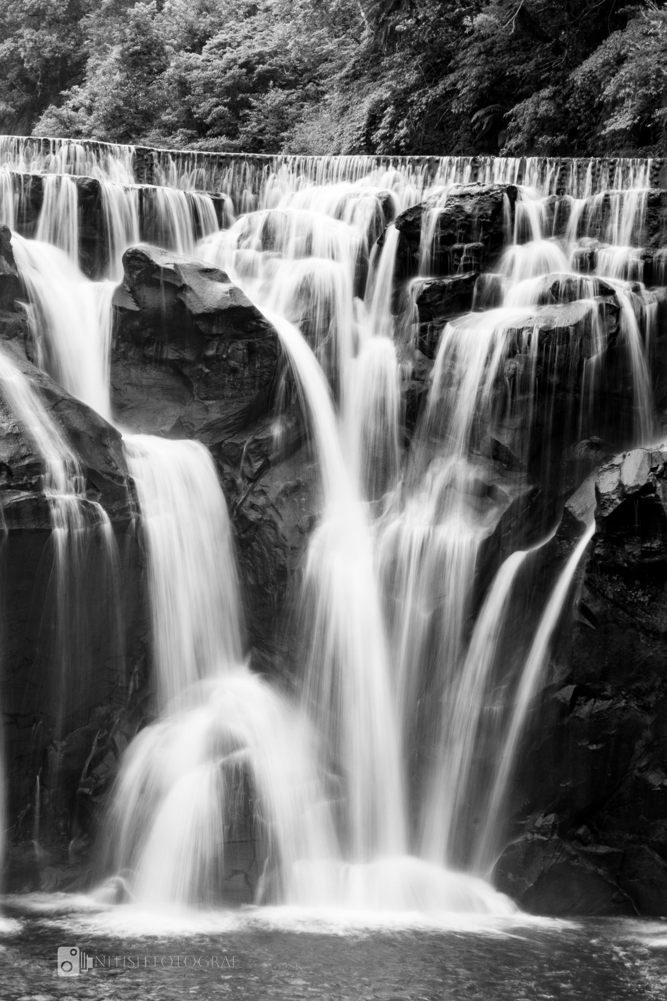 The rhythm of life – a flowing reminder of nature amidst city chaos