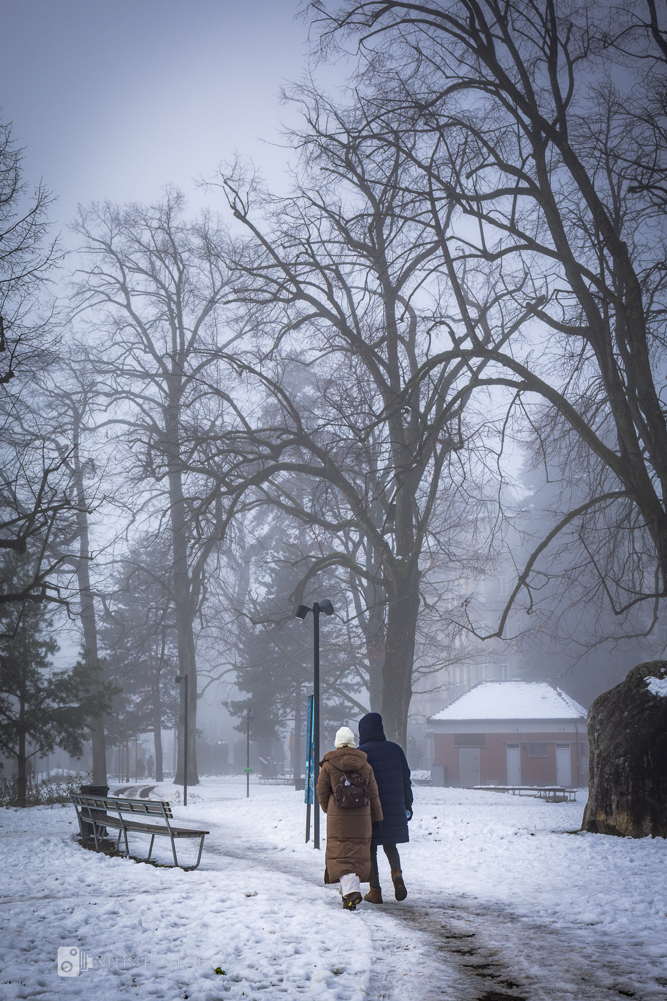 A snowy trail winding through a peaceful winter wonderland