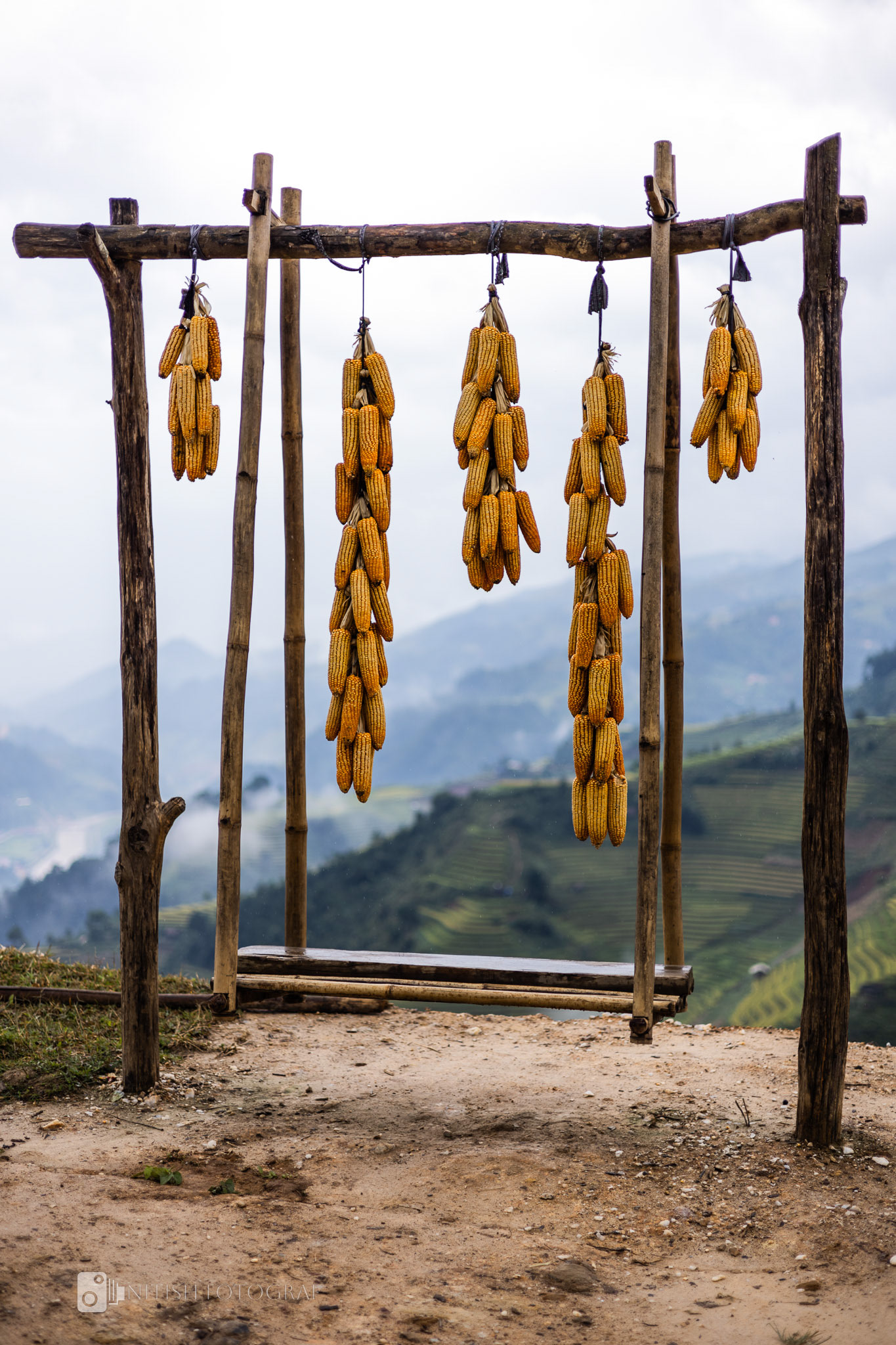 Herbs and produce drying under the sun a glimpse of rural life