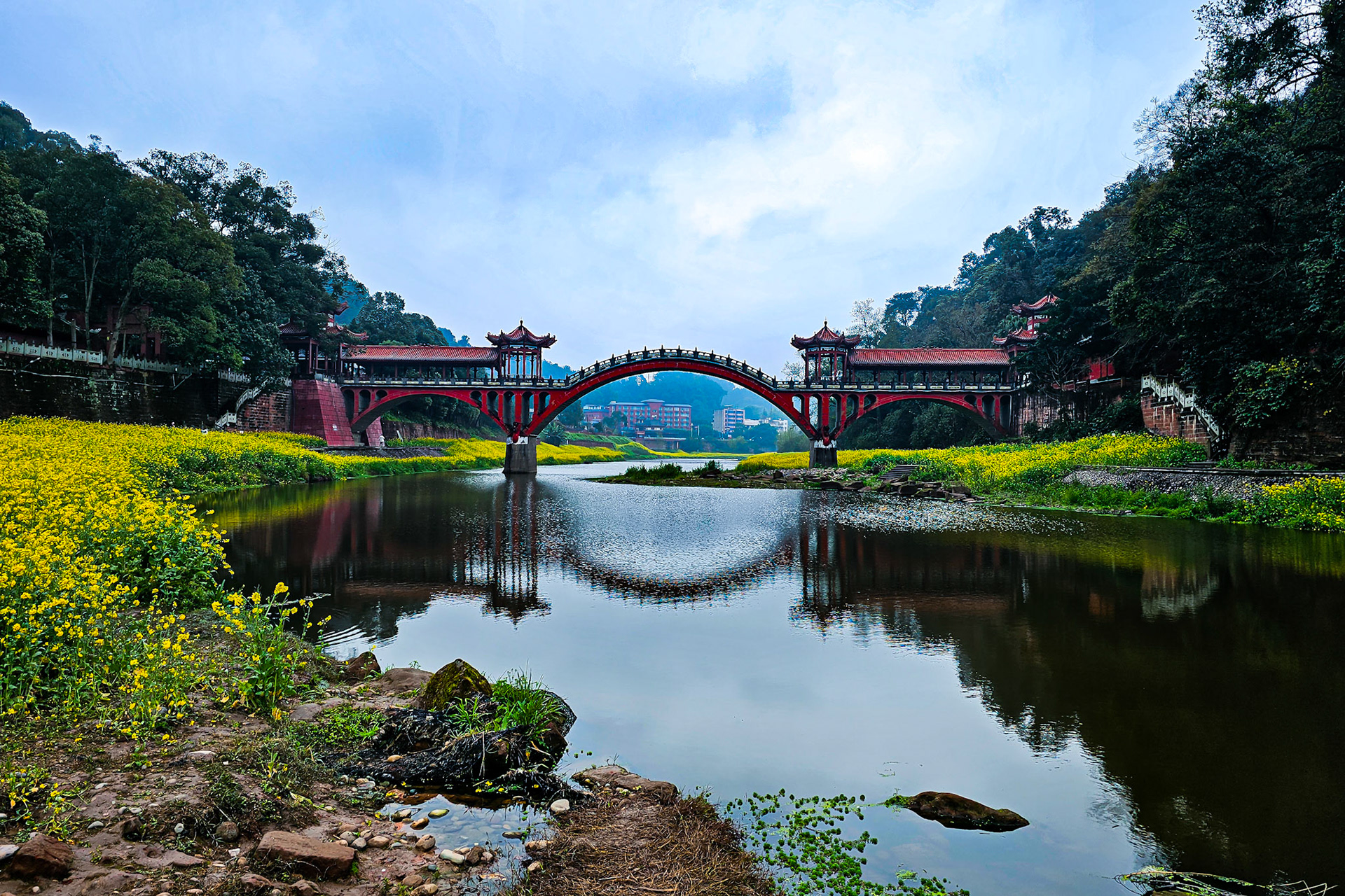 A serene riverbank, where life unfolds against nature's quiet backdrop