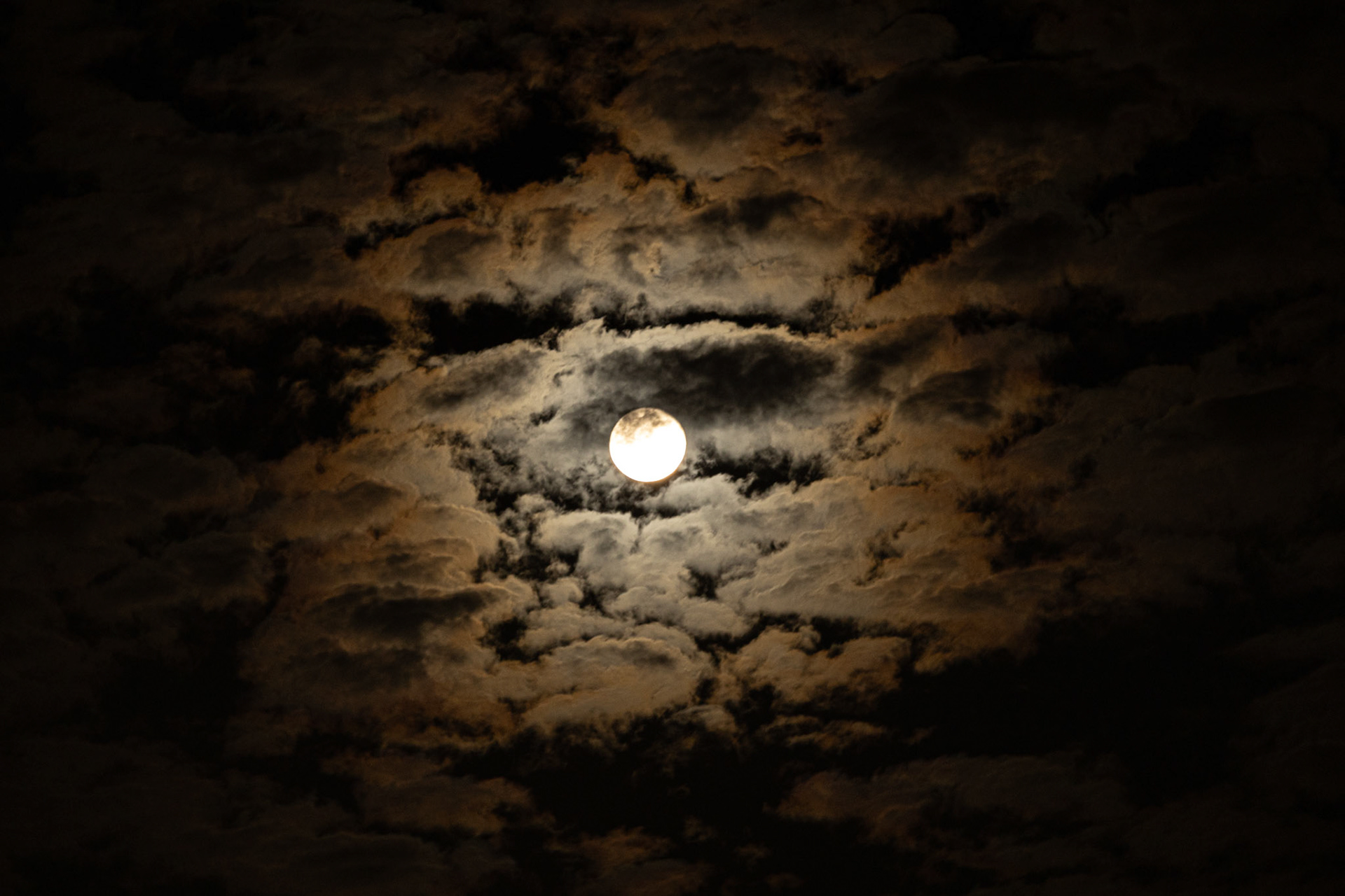 Under the urban moonlight, a city breathes in shadows and glow