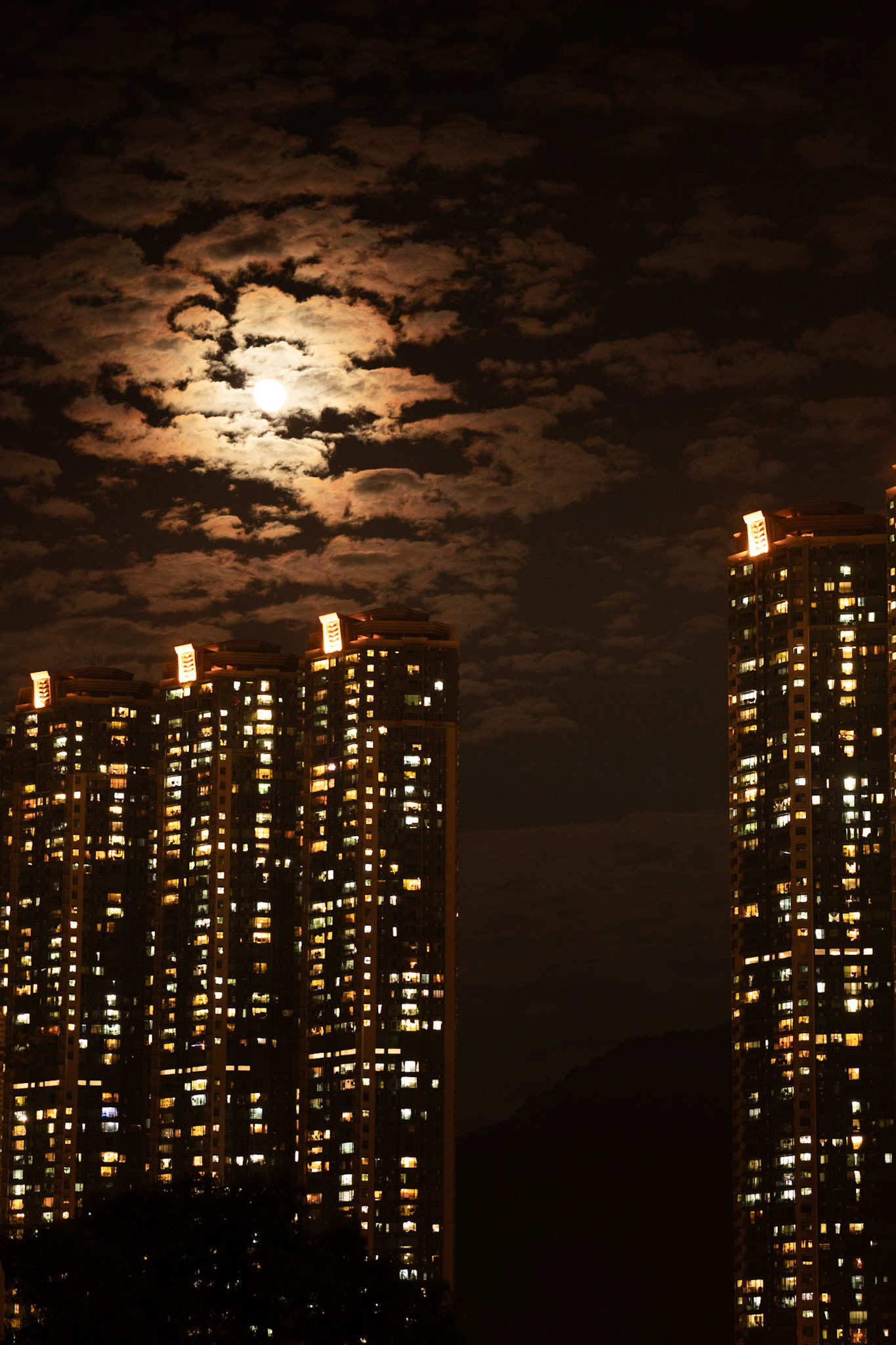 Under the urban moonlight, a city breathes in shadows and glow