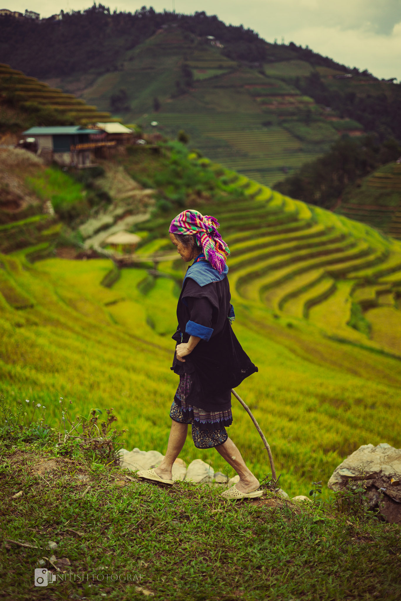 A peaceful gaze over the cascading greens – harmony between human and nature