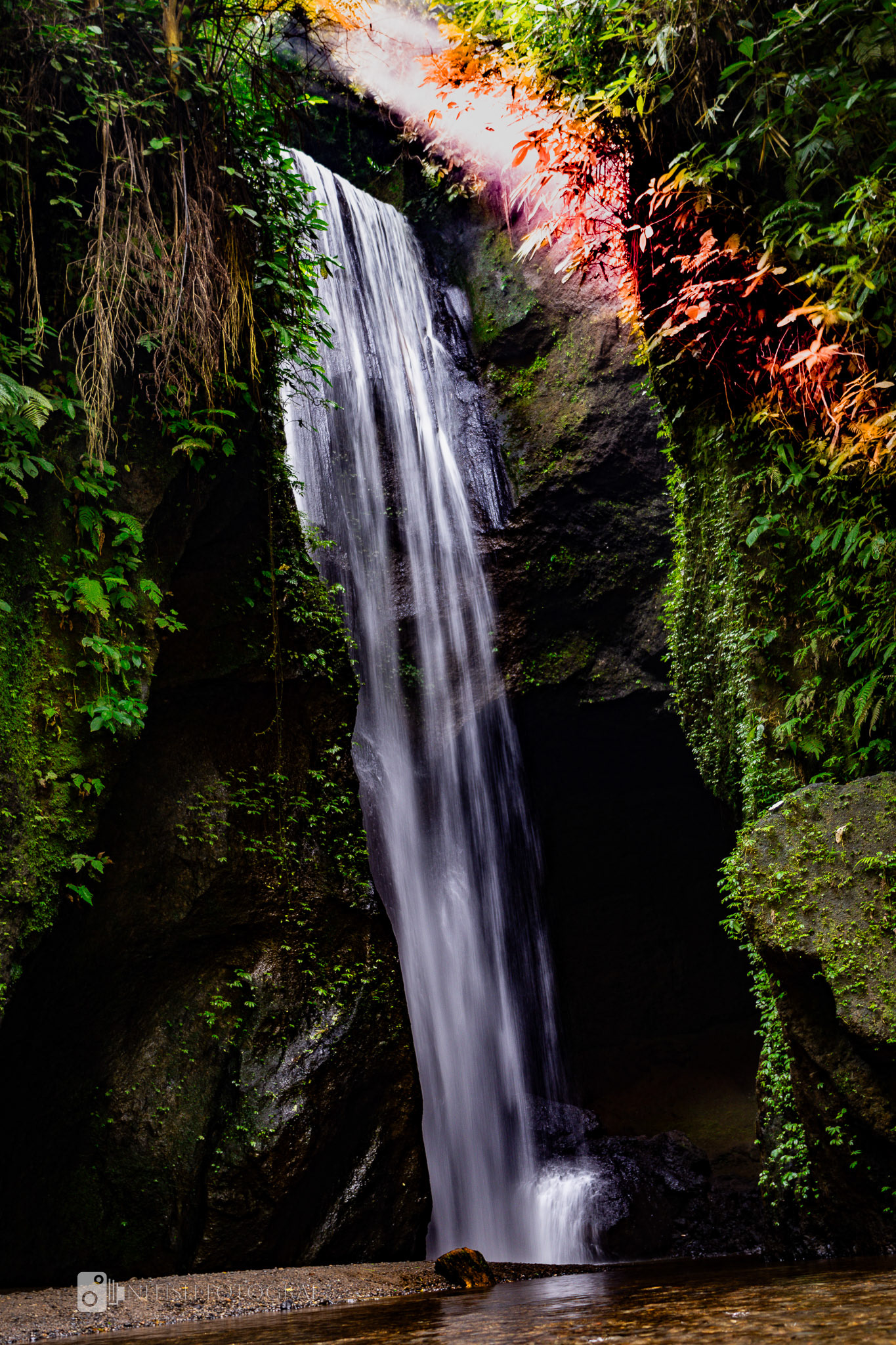 A mesmerizing waterfall cascading through dense emerald foliage