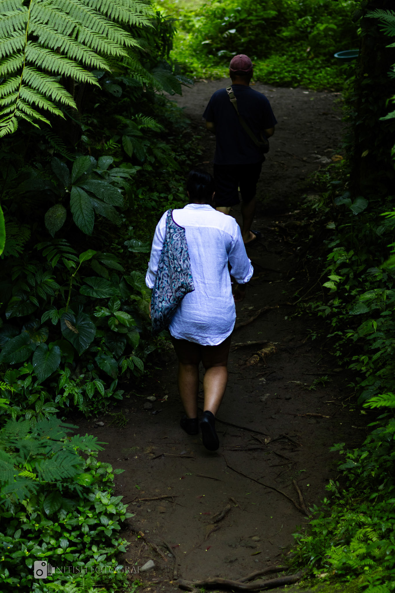 Stepping into nature – a quiet walk along a lush, green trail
