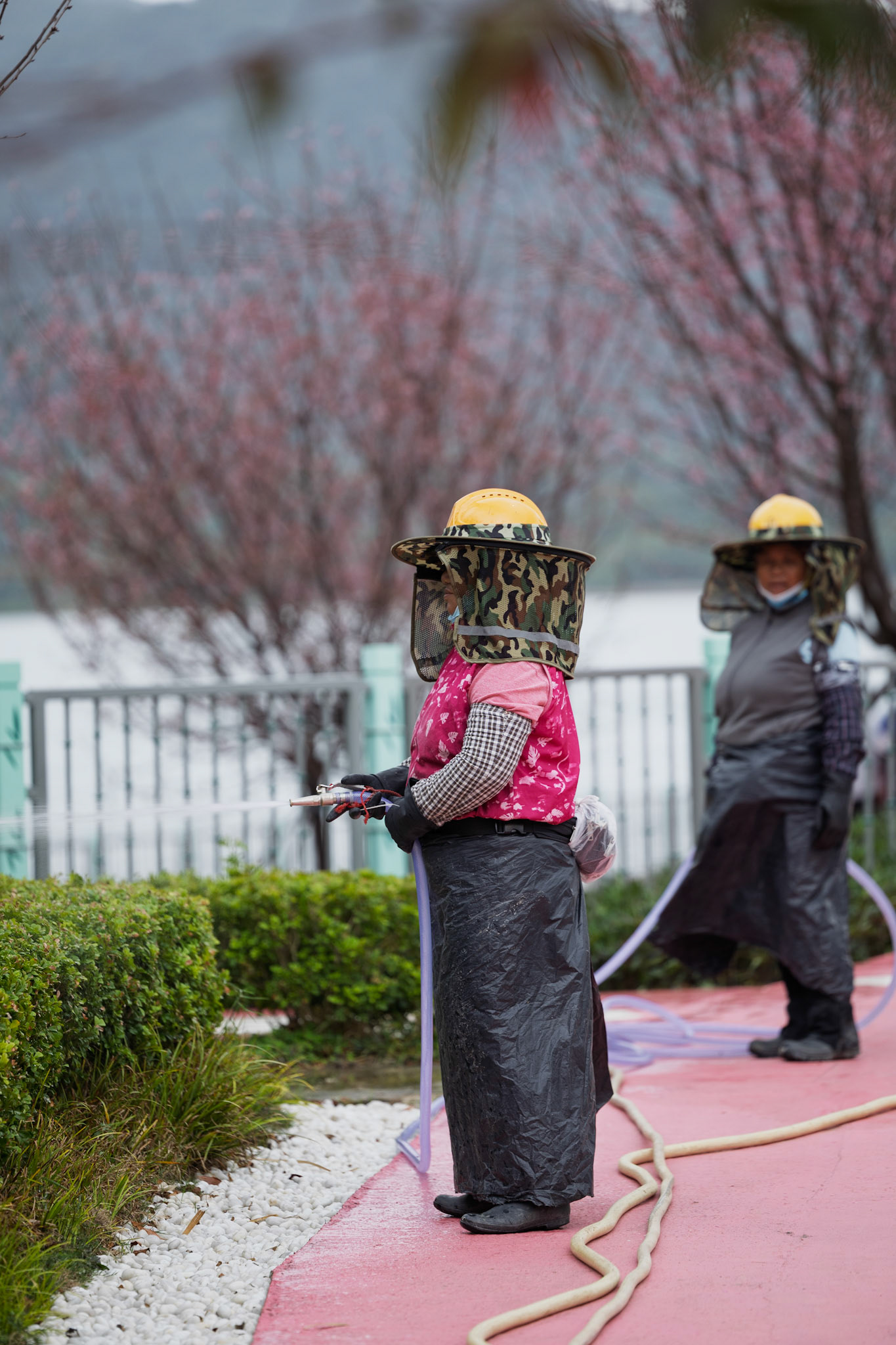 Guardians of the garden, rooted in quiet strength