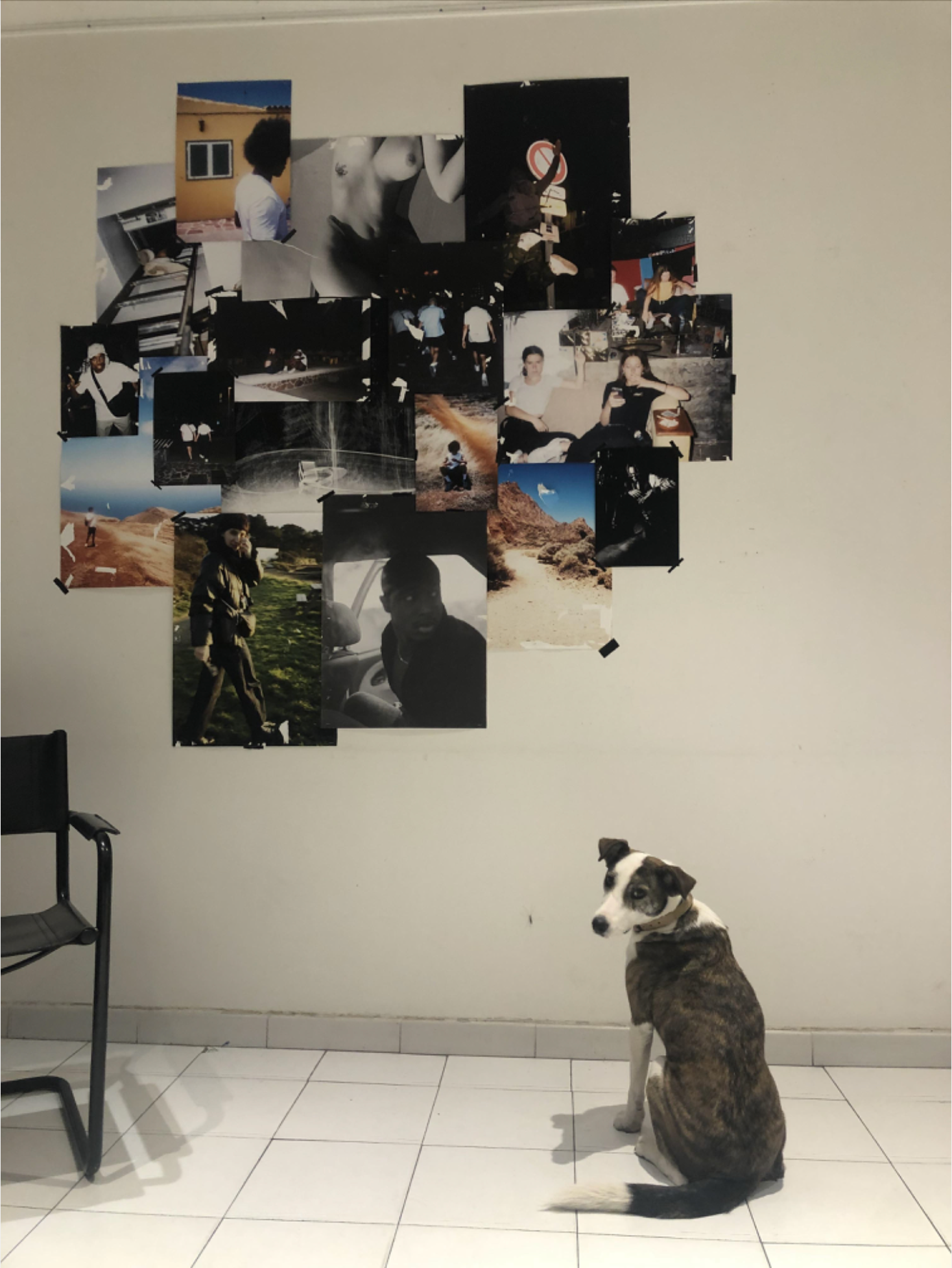 YOUTH EXHIBITION