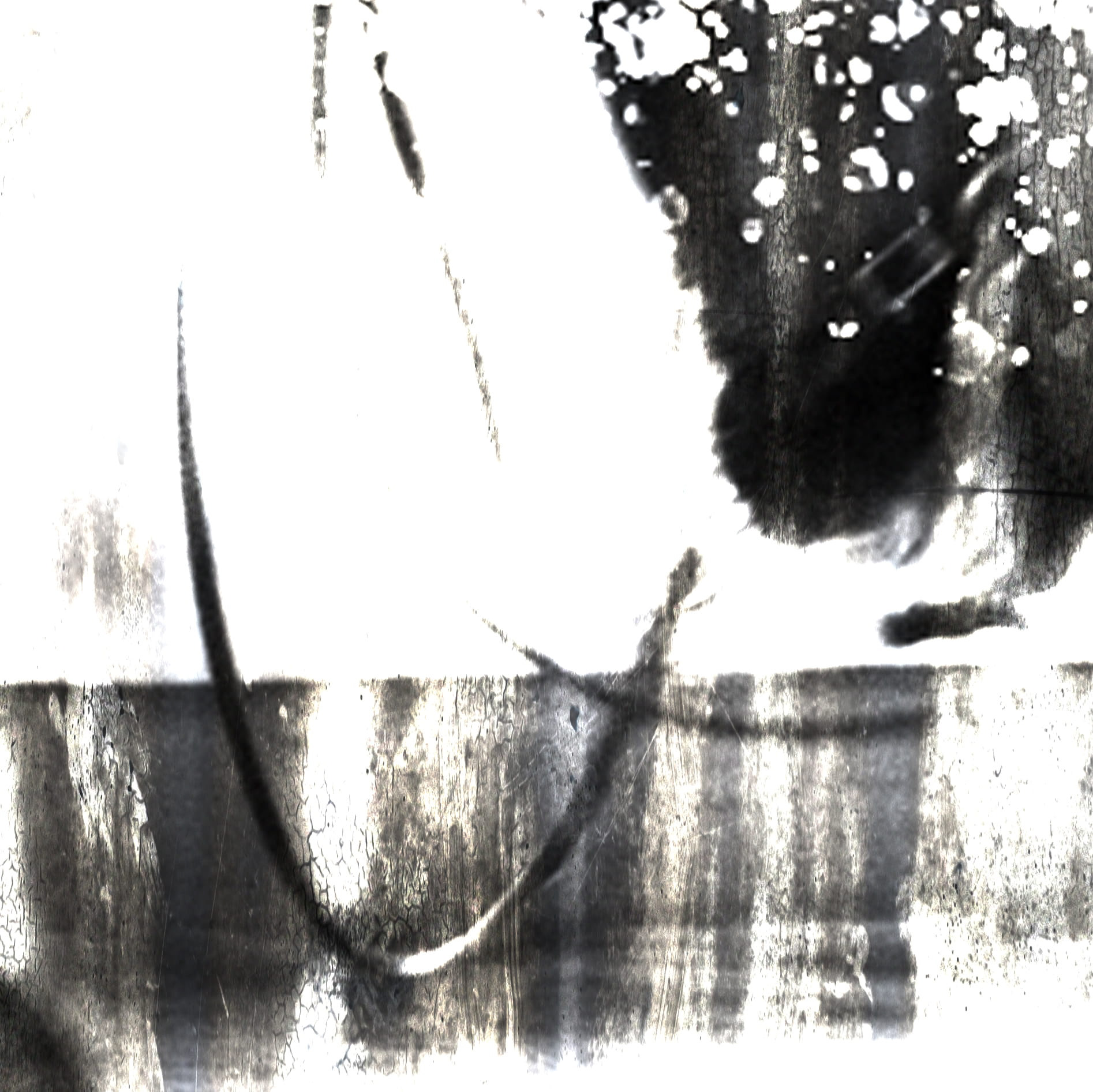DIGITAL CANVASES