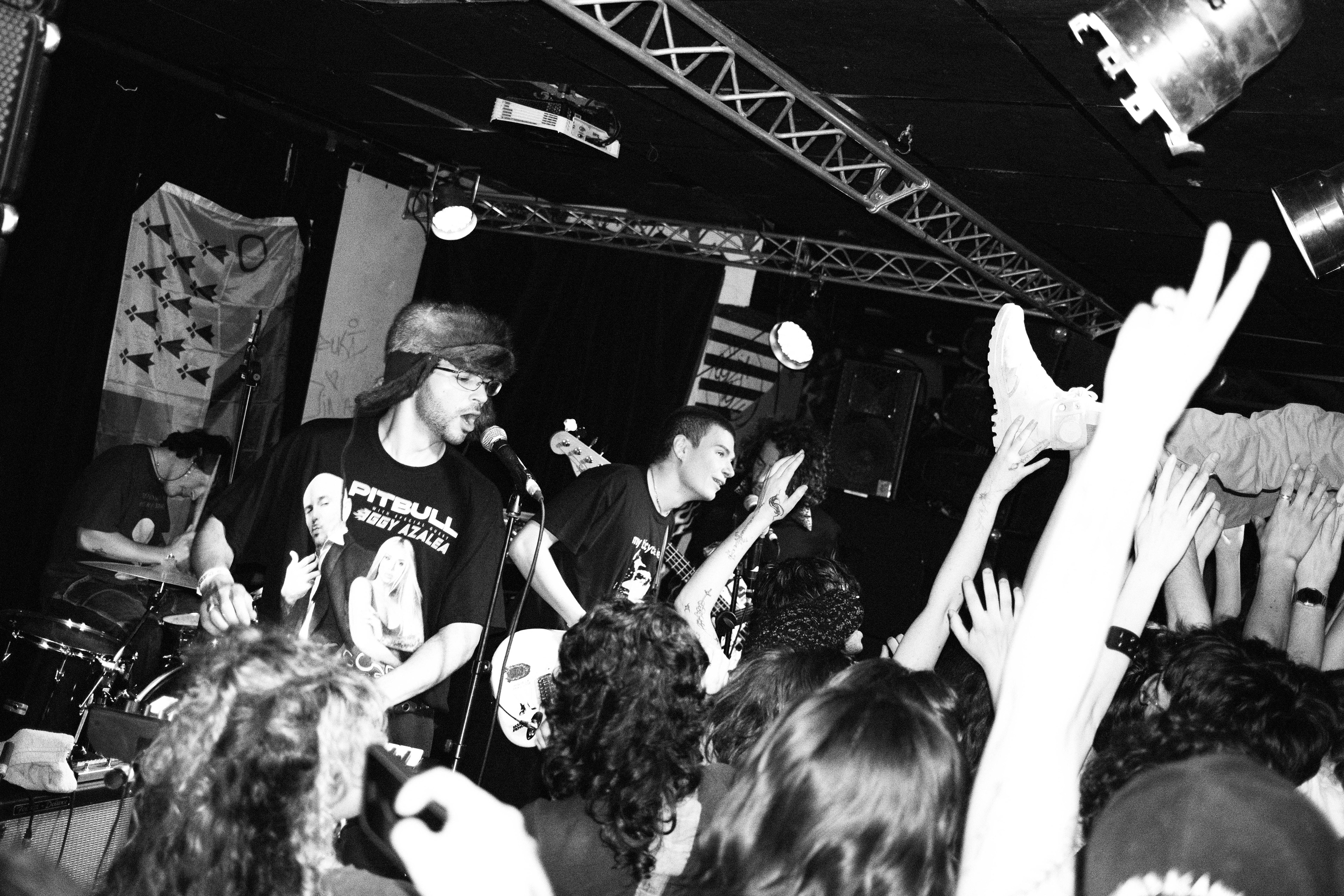 ORANGE PEEL - CHIEN BOULGOUR - ALIMENTATION GENERALE PARIS