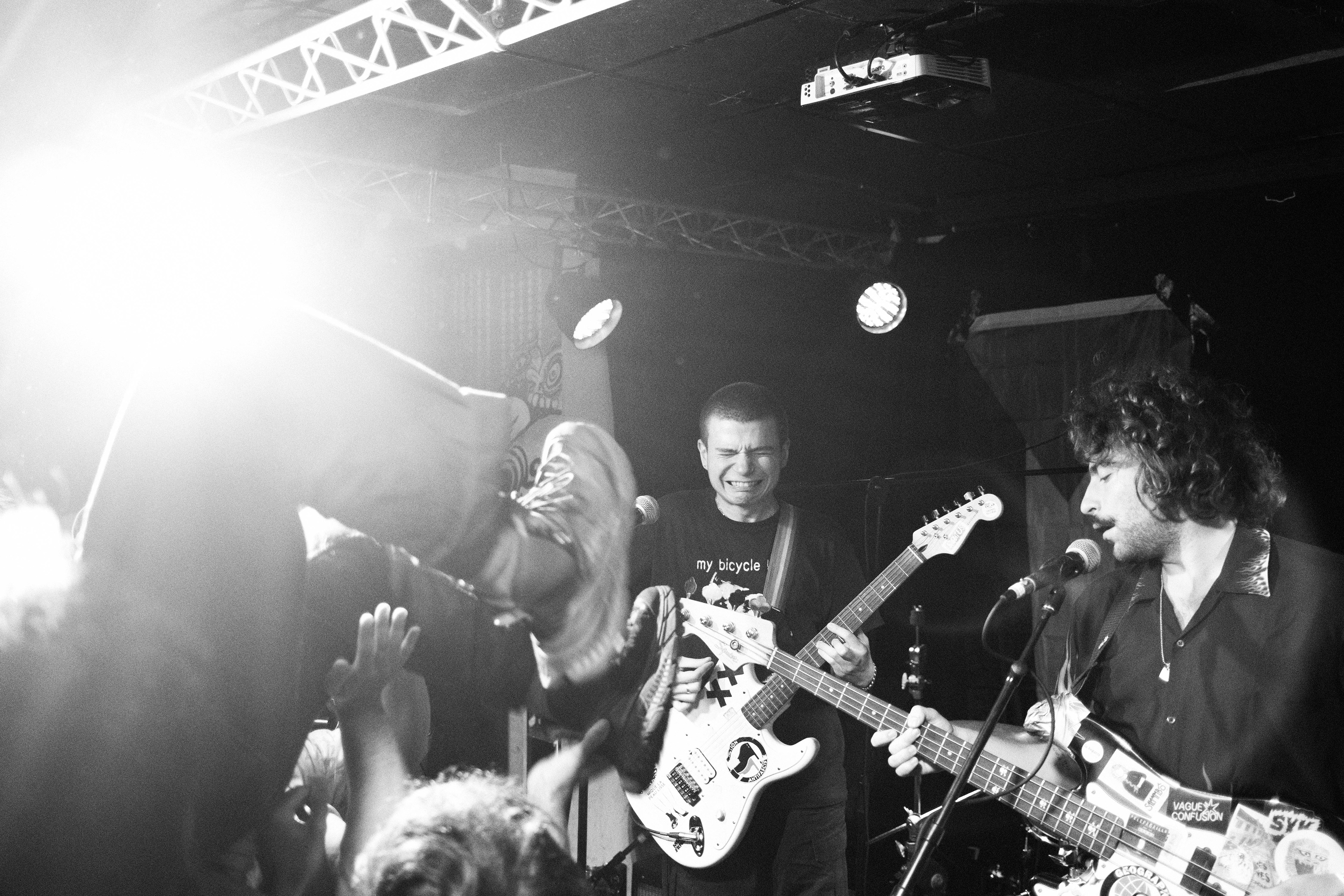 ORANGE PEEL - CHIEN BOULGOUR - ALIMENTATION GENERALE PARIS