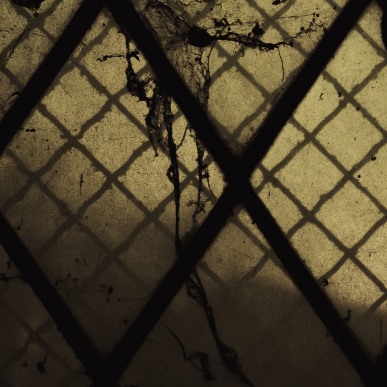 FREE ZORBA THE HOOLIGAN - AFTERHOUR COVER