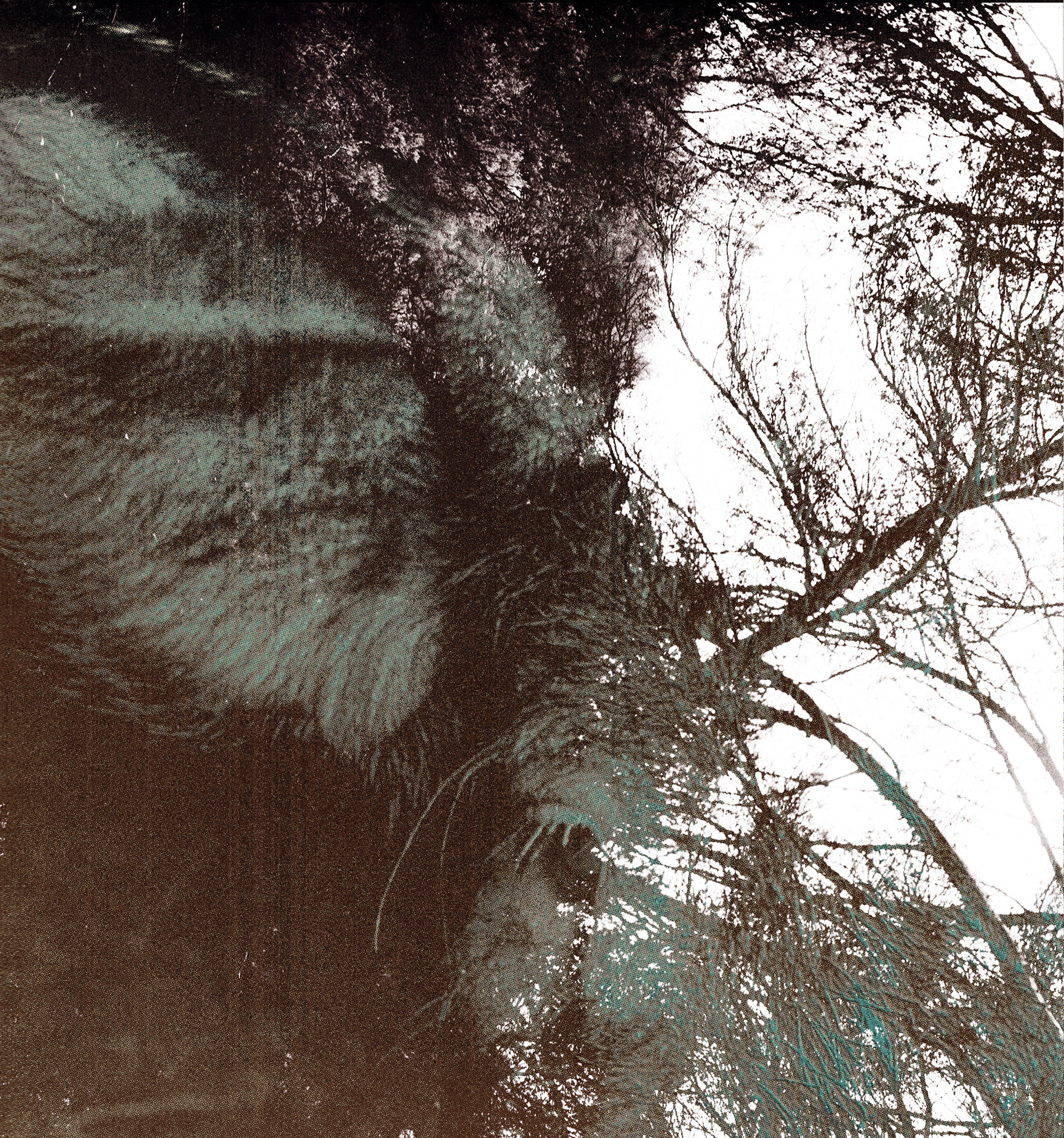 RELIQUE - DIGITAL CANVASES 