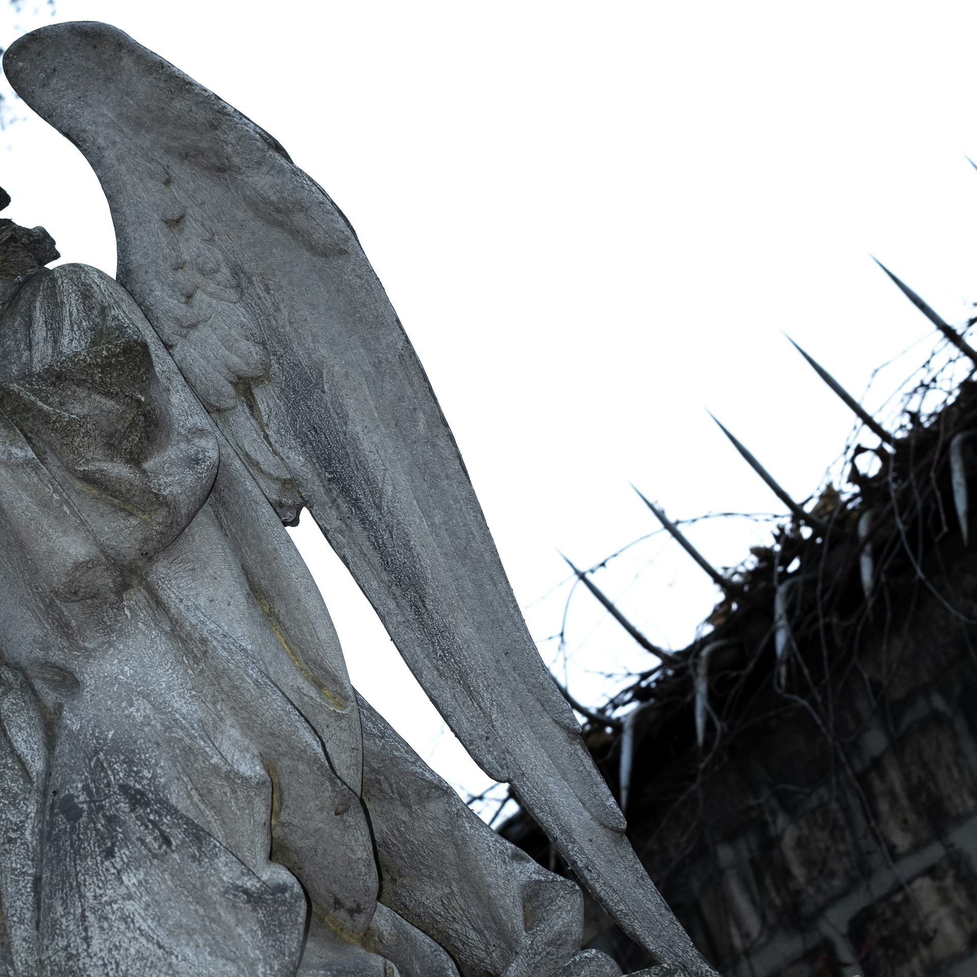 FREE ZORBA THE HOOLIGAN - AMANDINO COVER