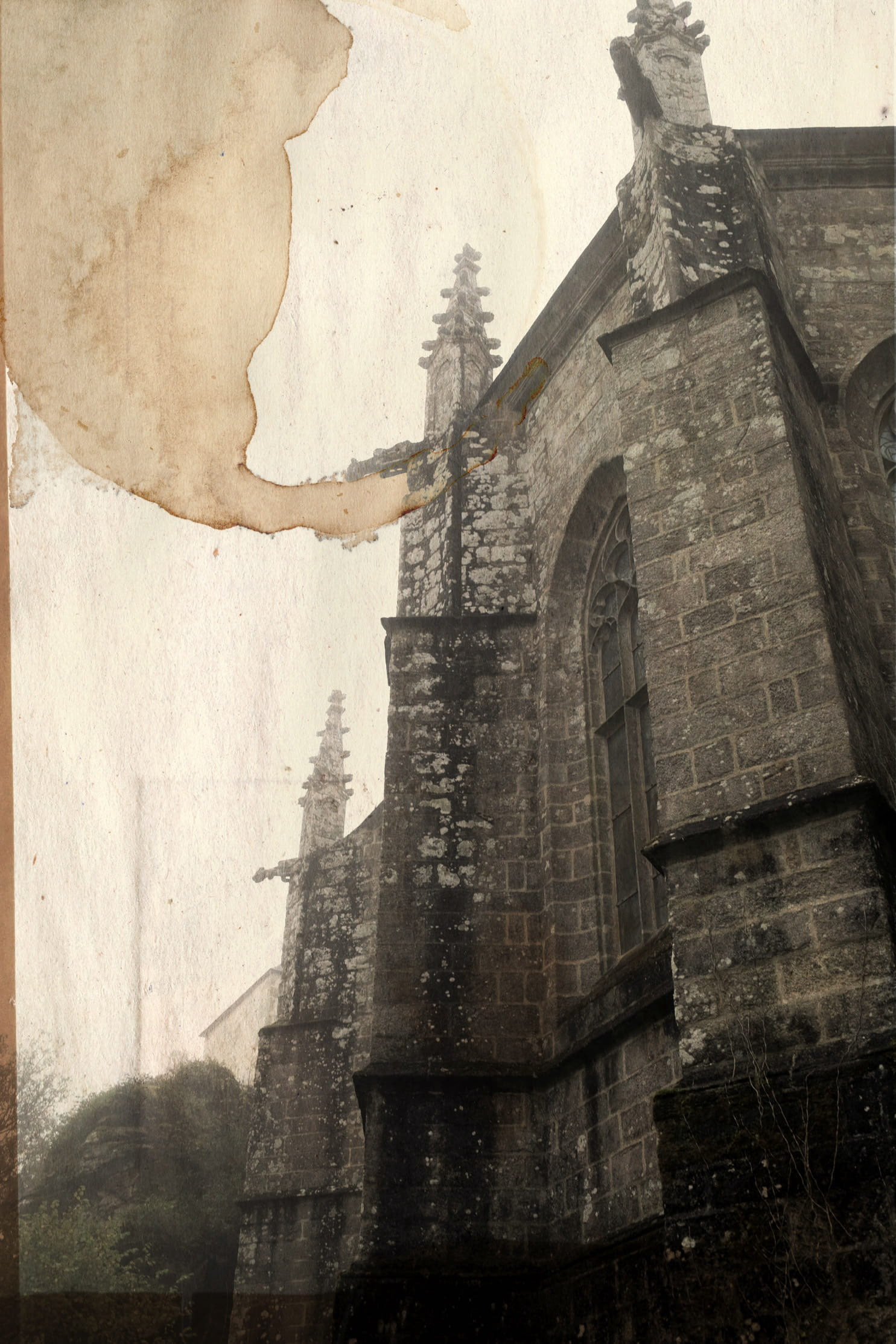 RELIQUE - DIGITAL CANVASES 