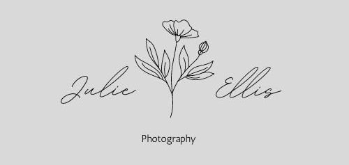Julie Hollis