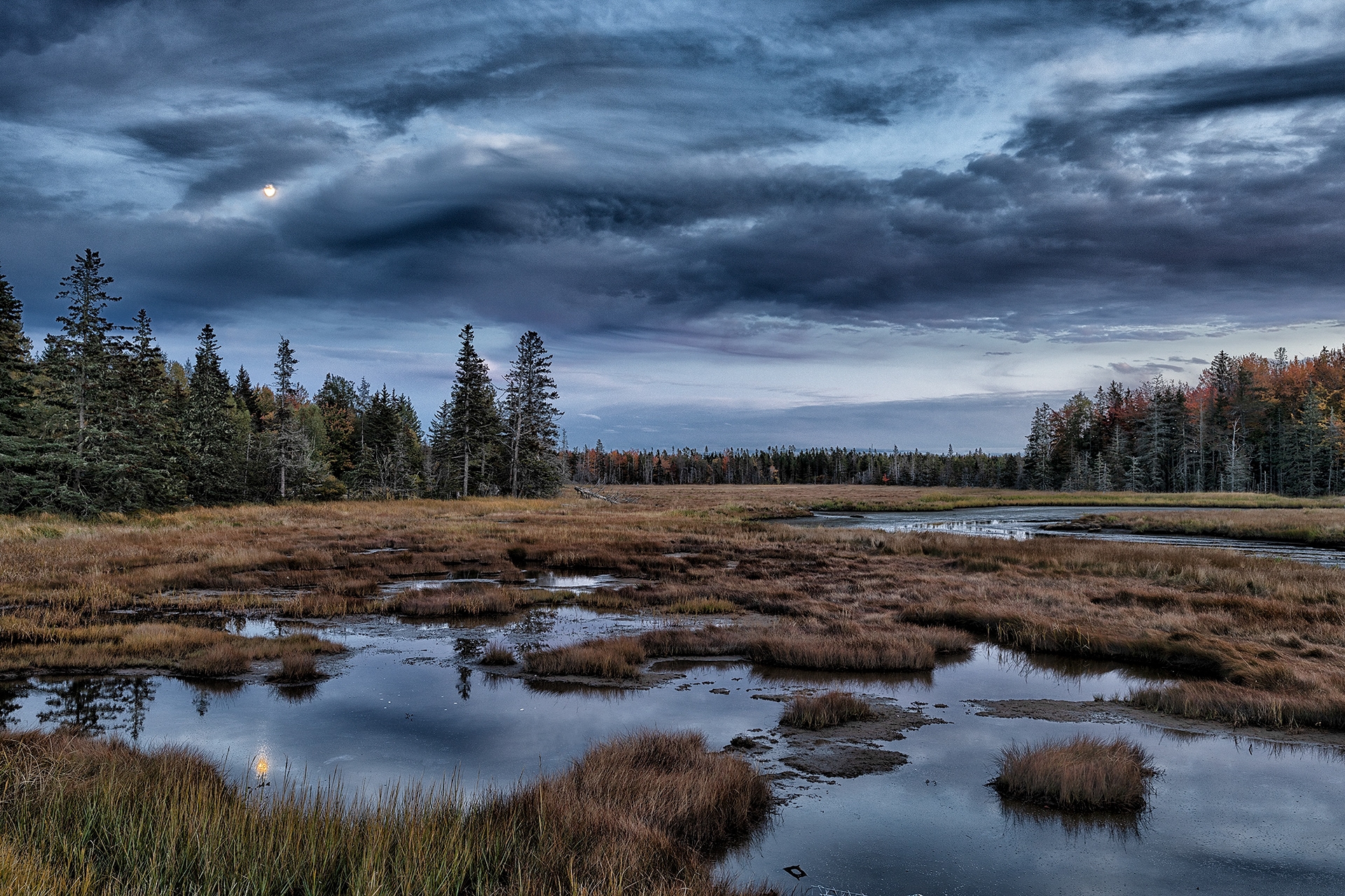 Trenton Marsh, Maine
