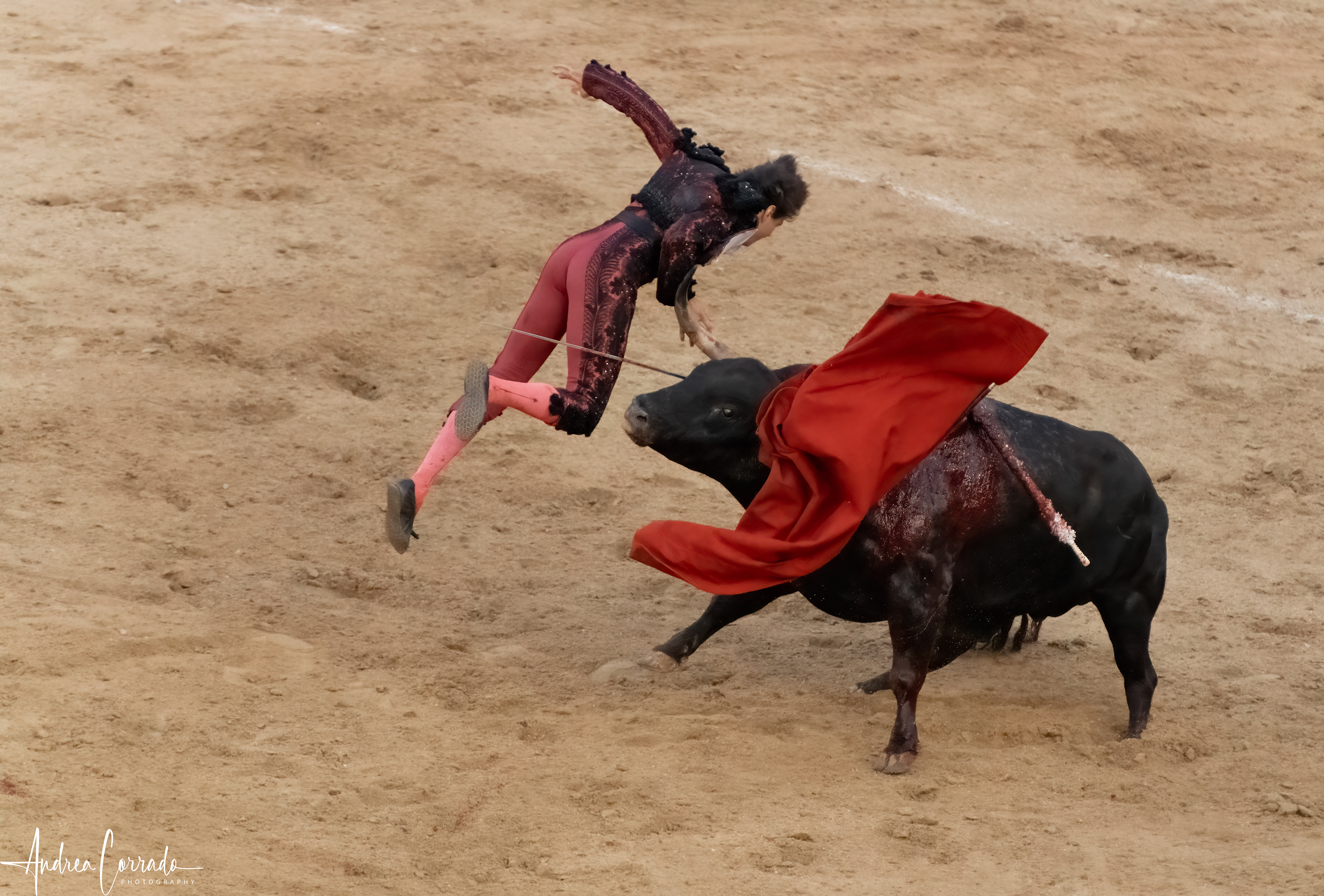Plaza de Toros de Las Ventas - Madrid