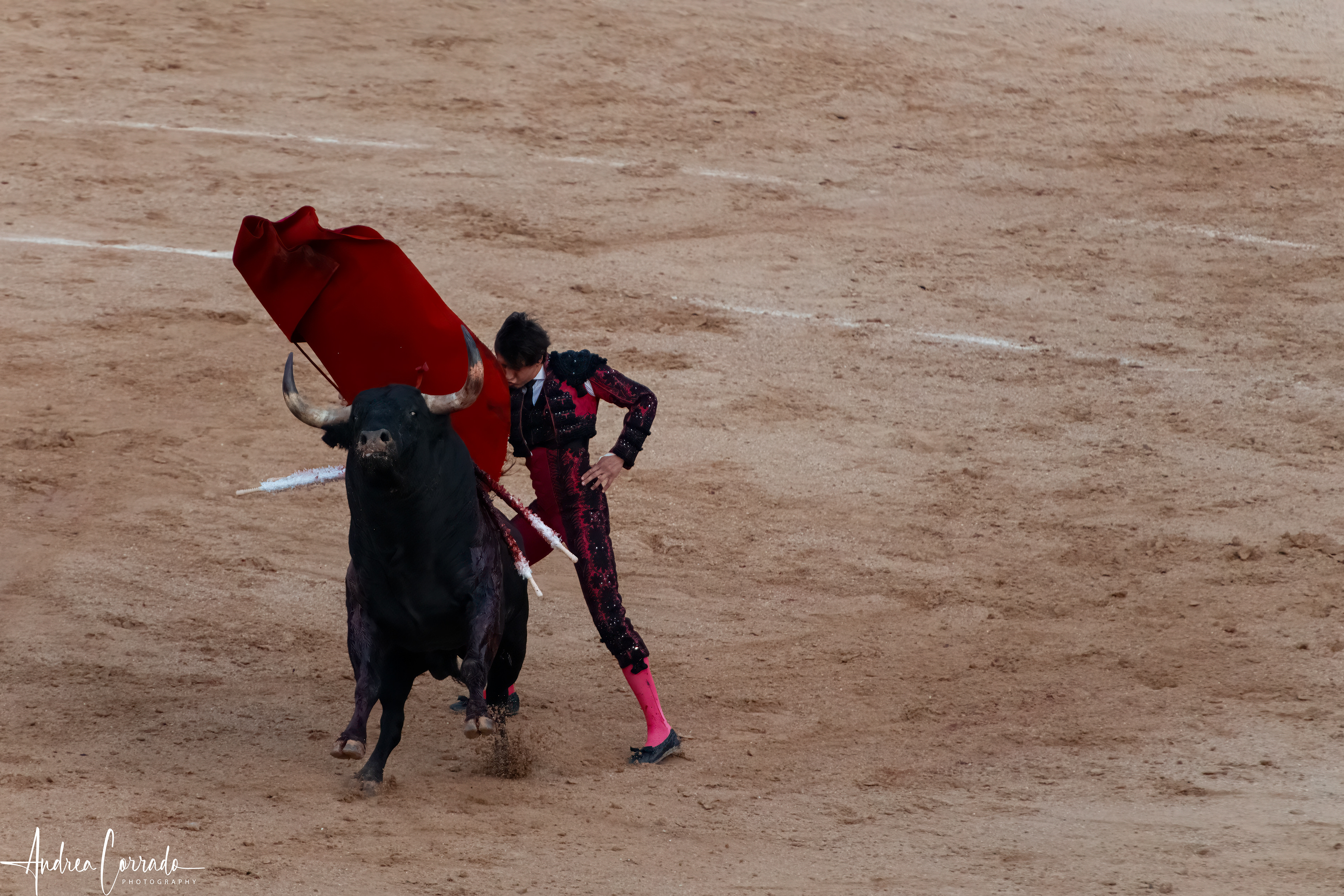 Plaza de Toros de Las Ventas - Madrid