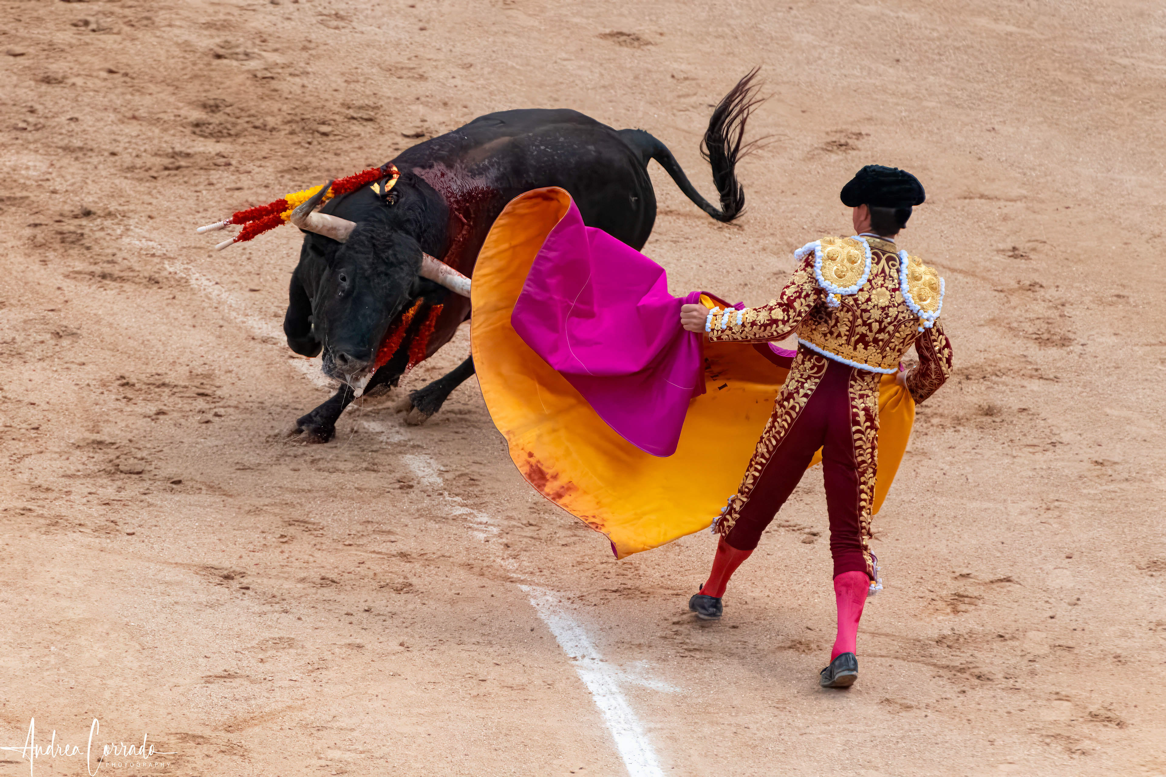 Plaza de Toros de Las Ventas - Madrid
