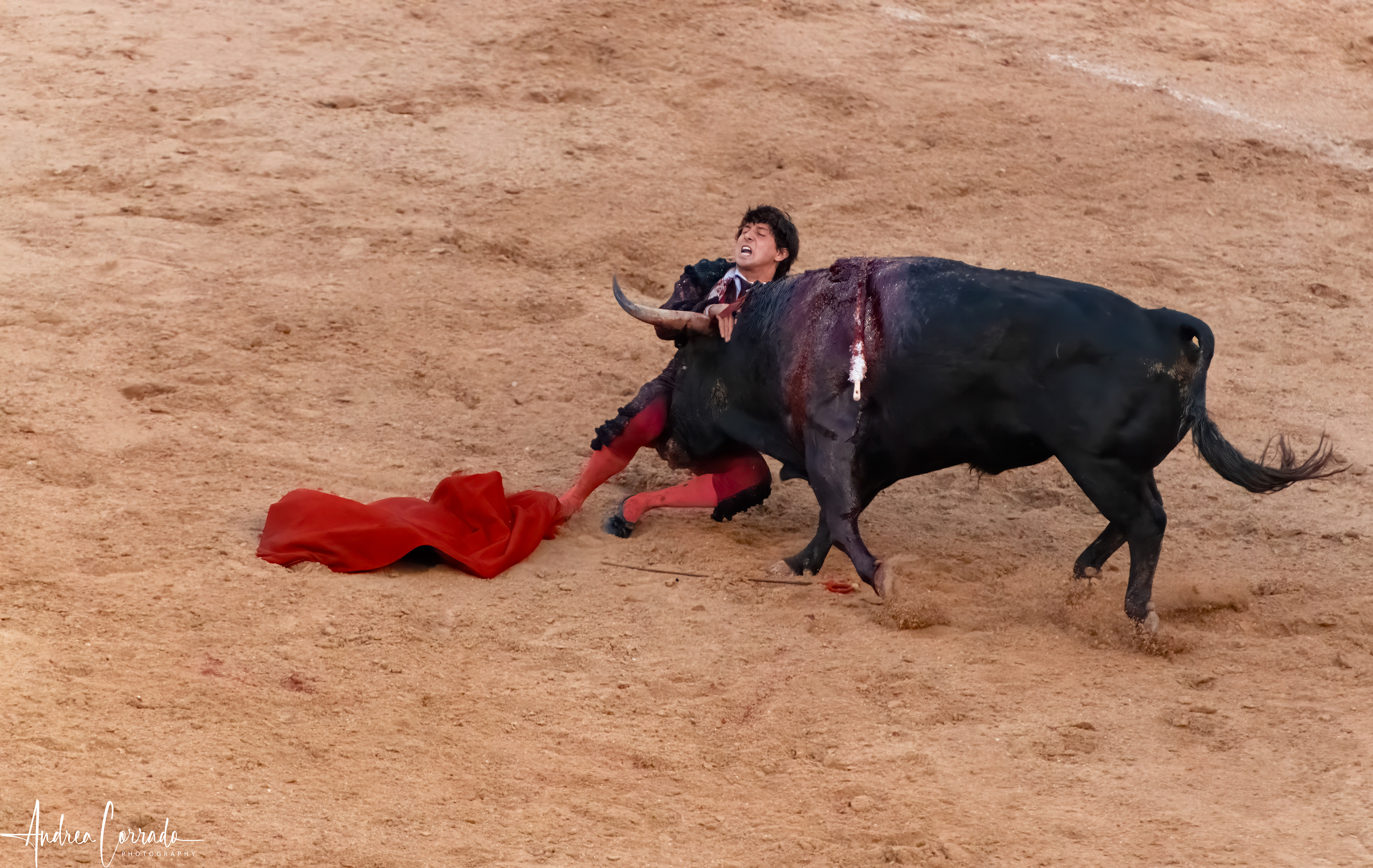 Plaza de Toros de Las Ventas - Madrid