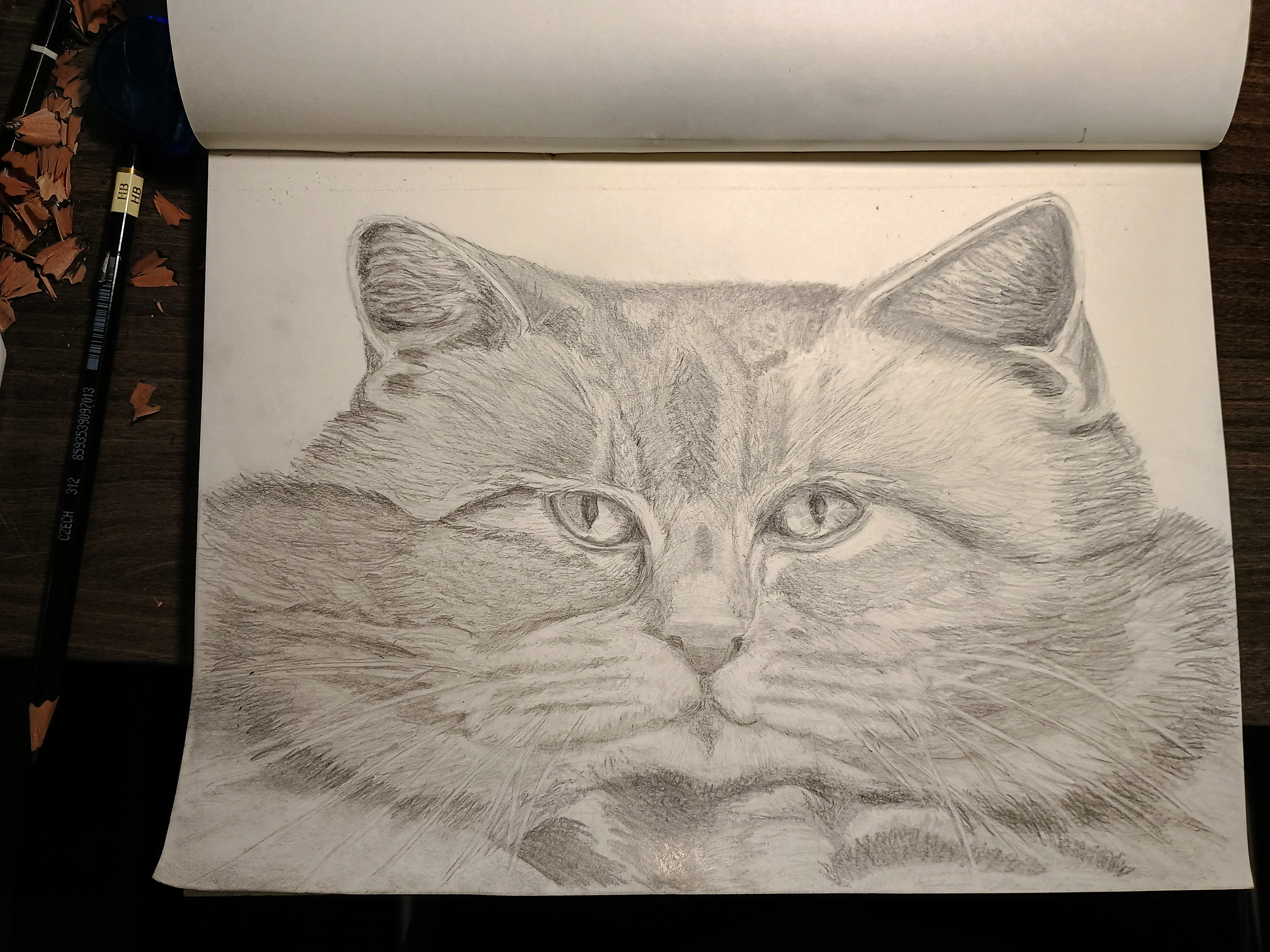 Cheshire Cat pencil drawing