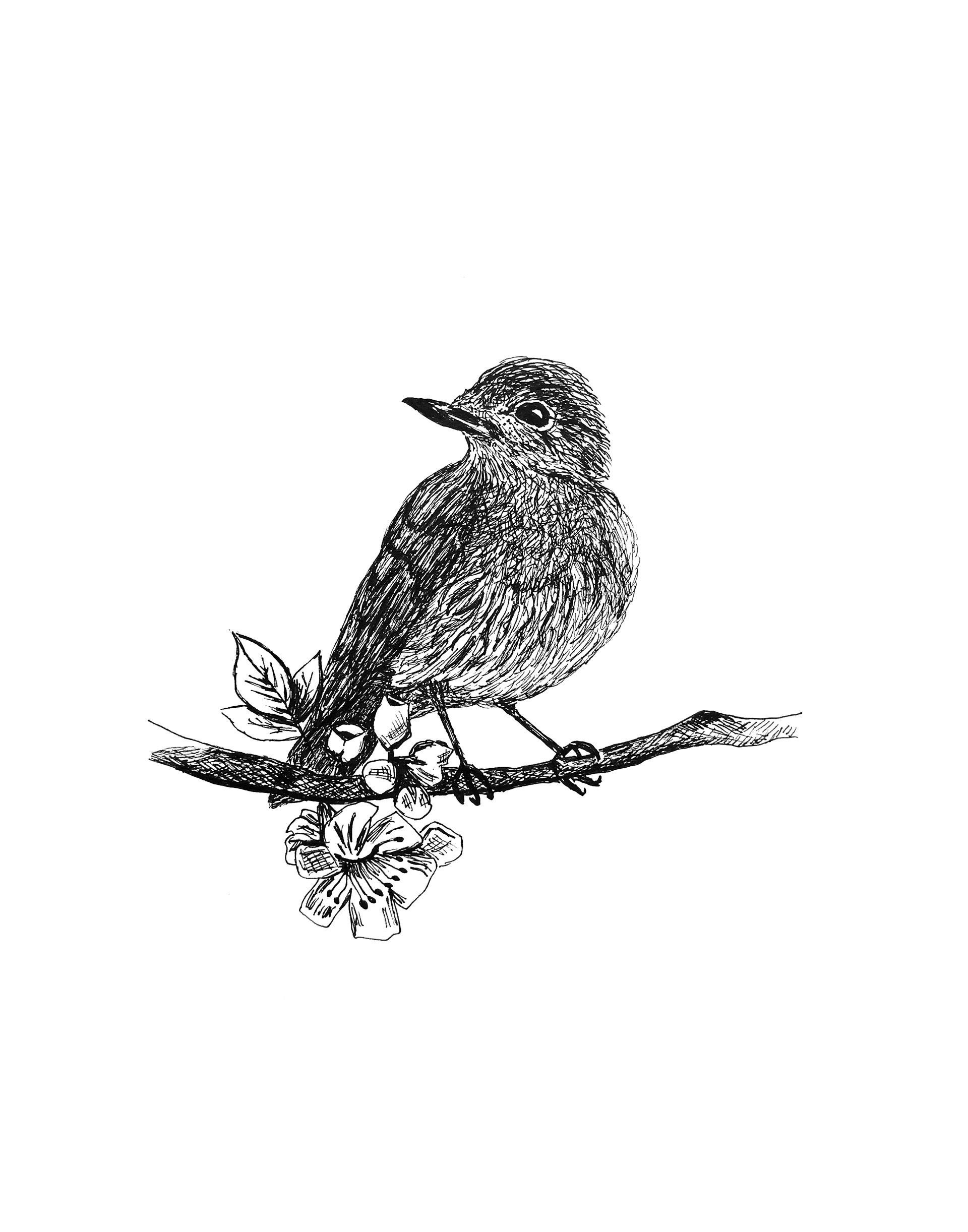Bird with Flower