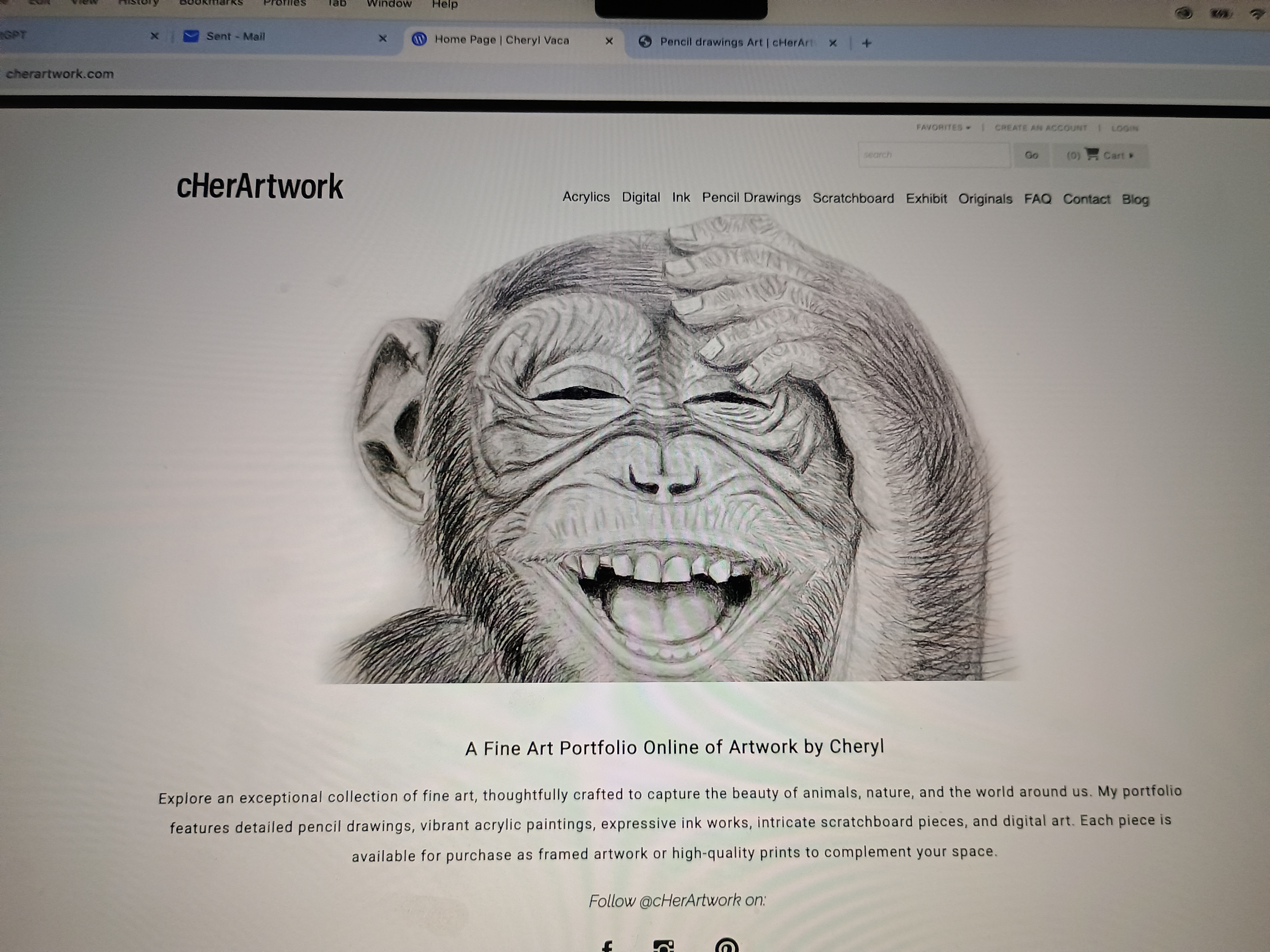 He is laughing at the number of website attempts