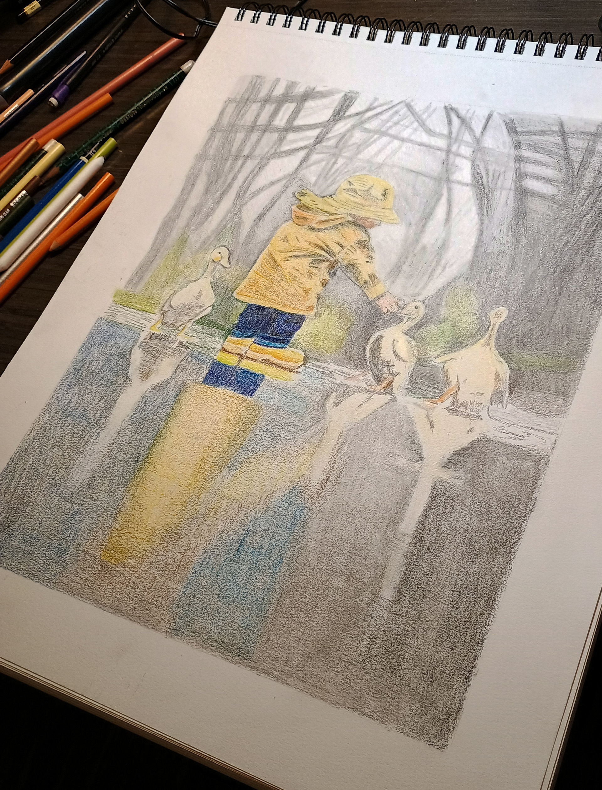 Colored pencil drawing of Little Boy and Ducks