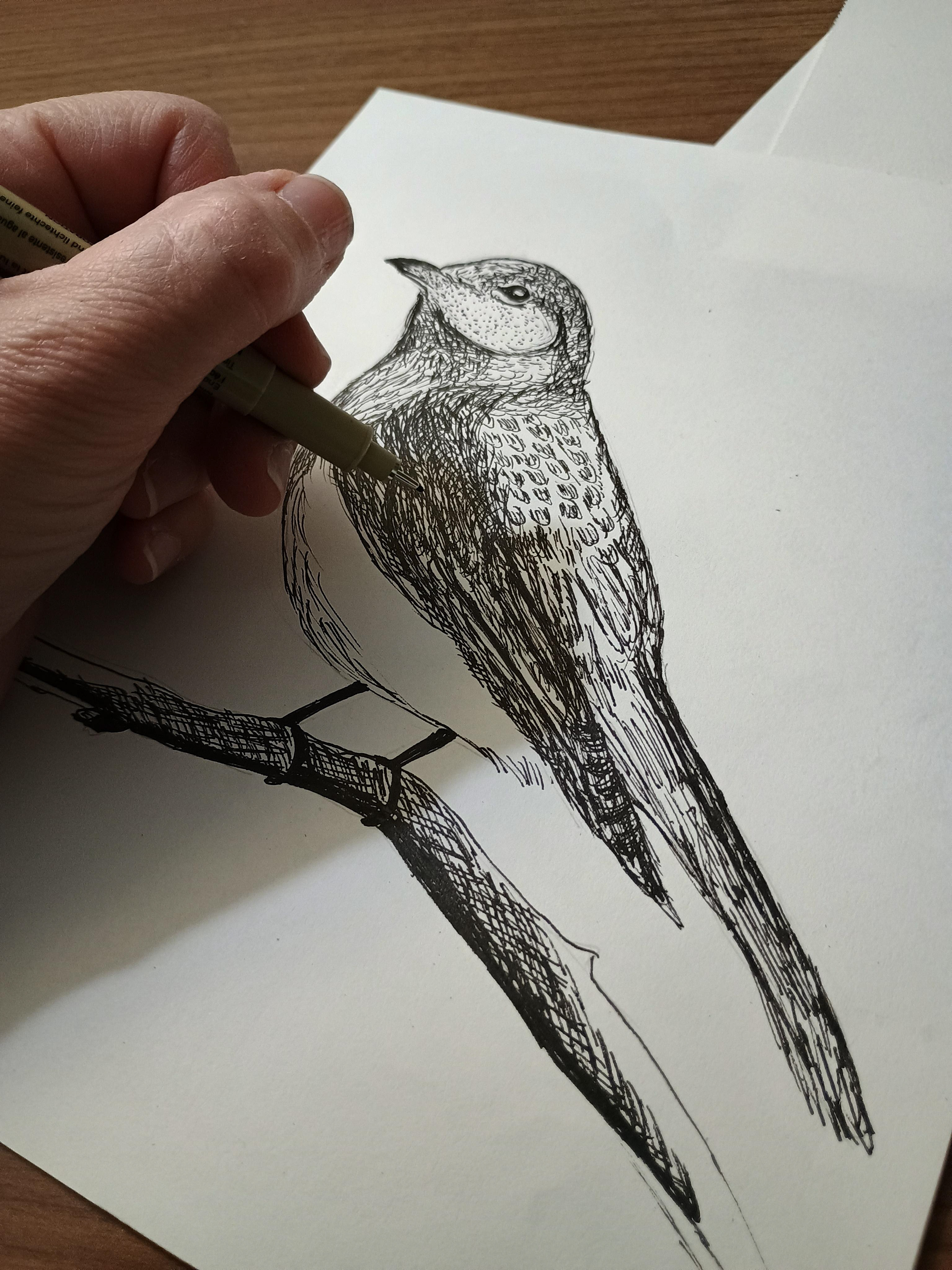Ink