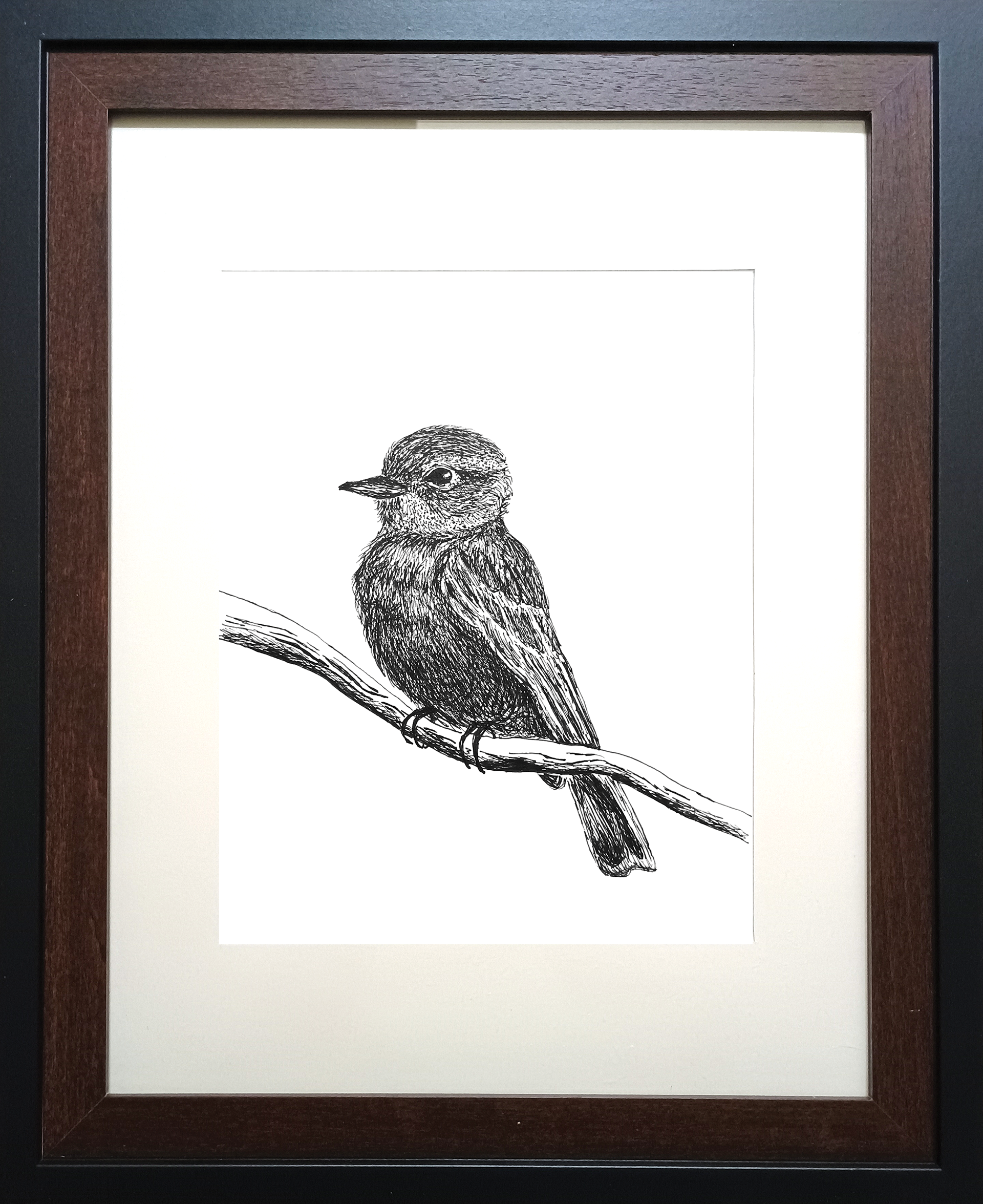 Bird at Peace