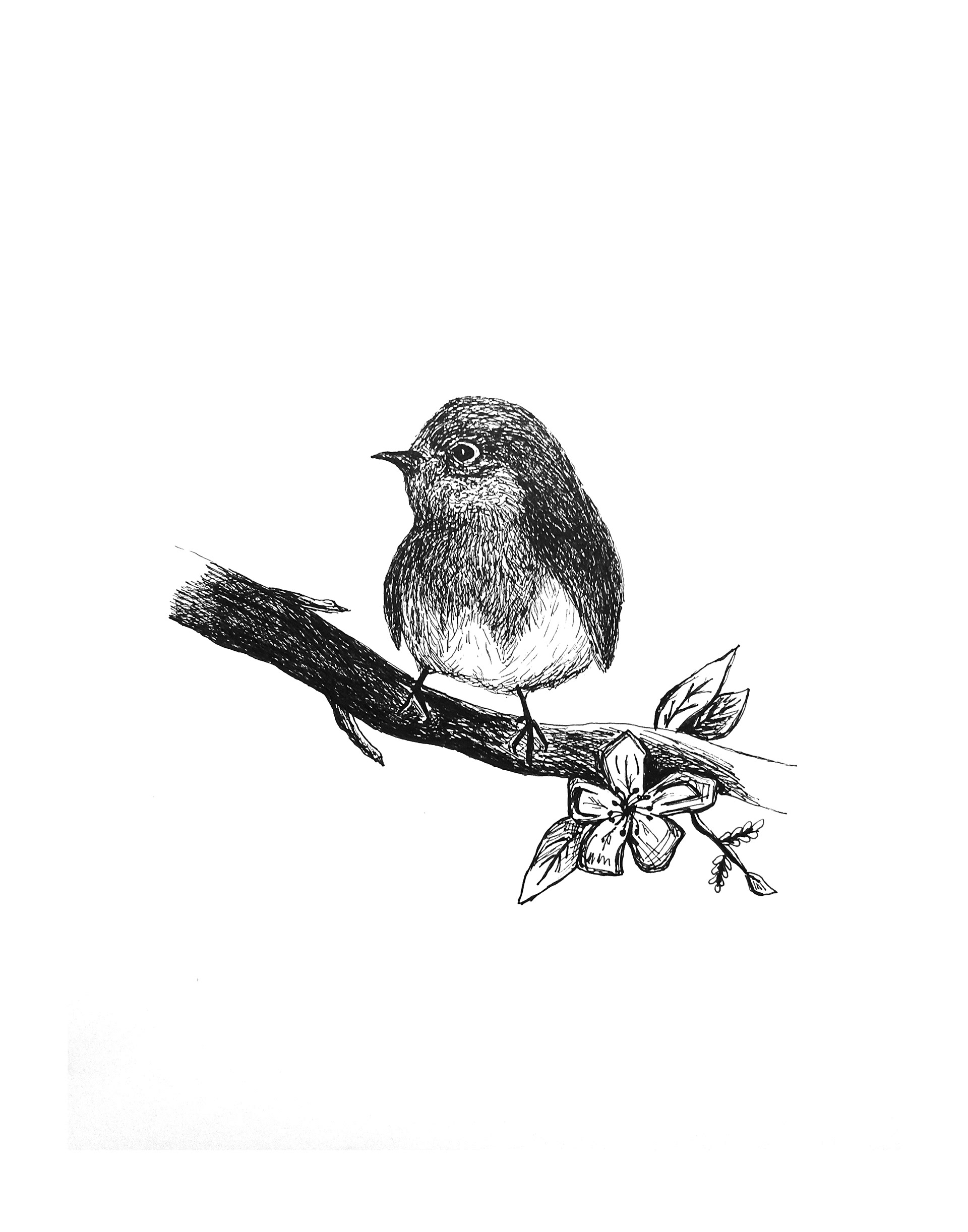 Little Hopeful Bird