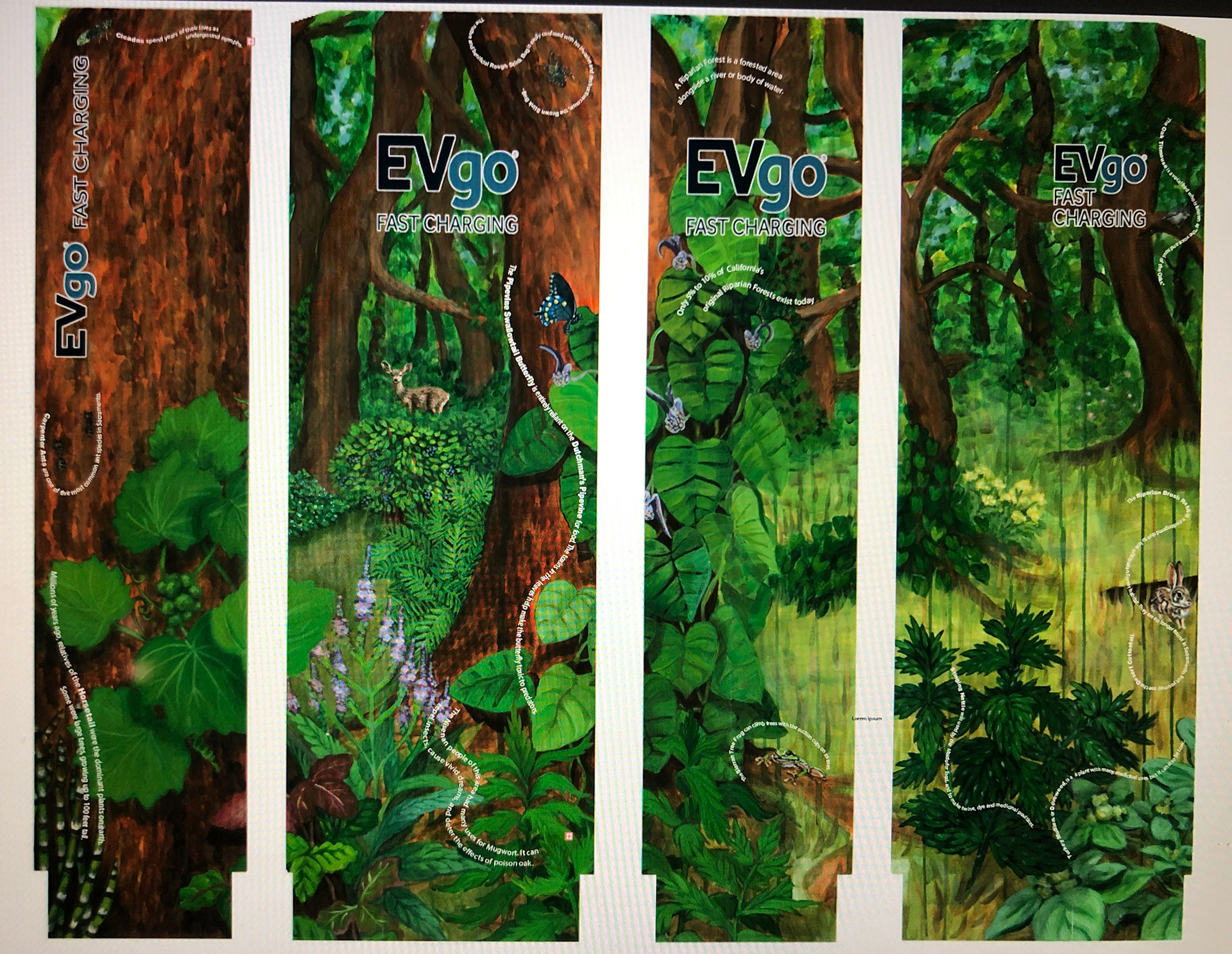 Riparian Forest