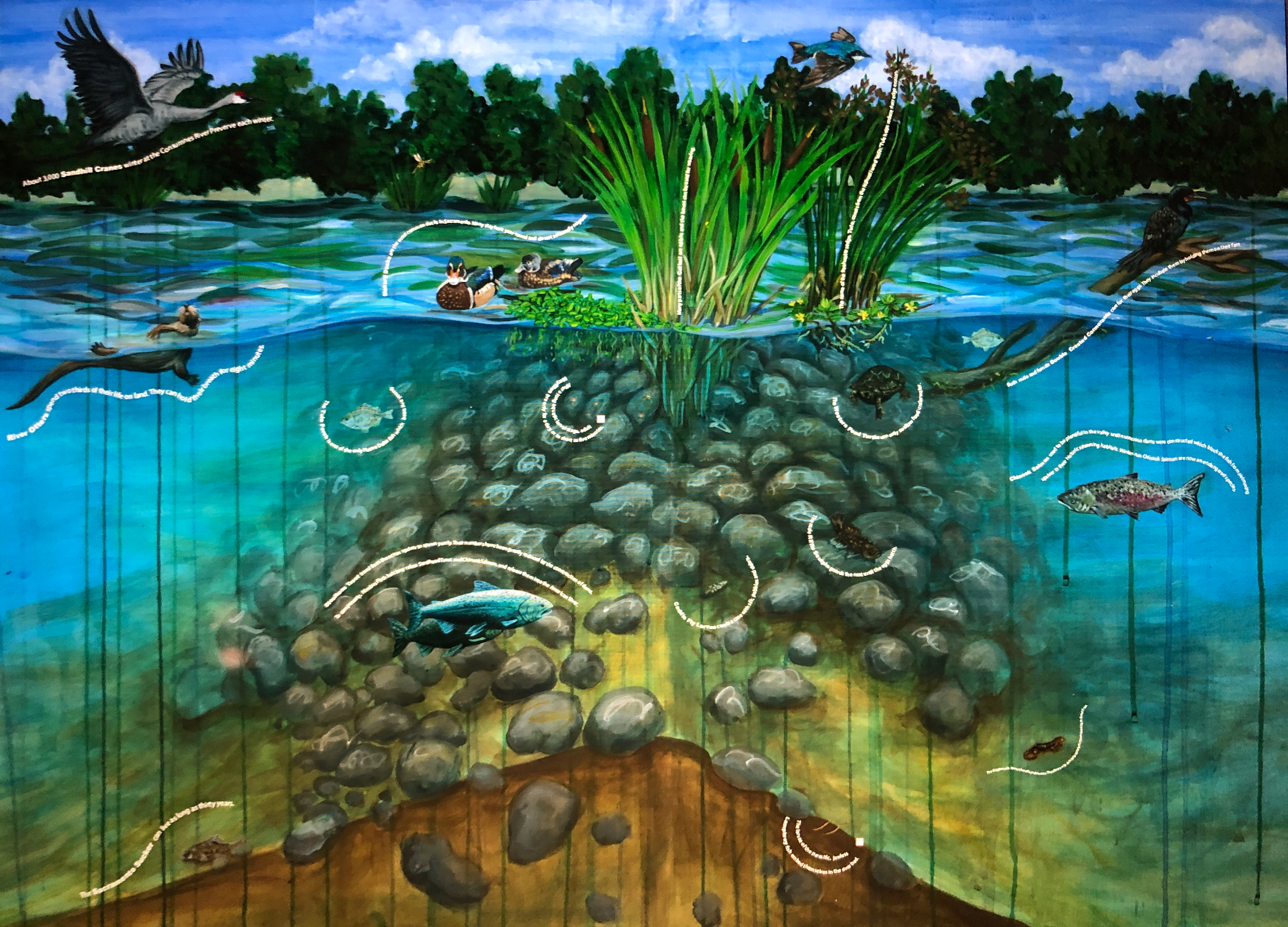 Riverbed
