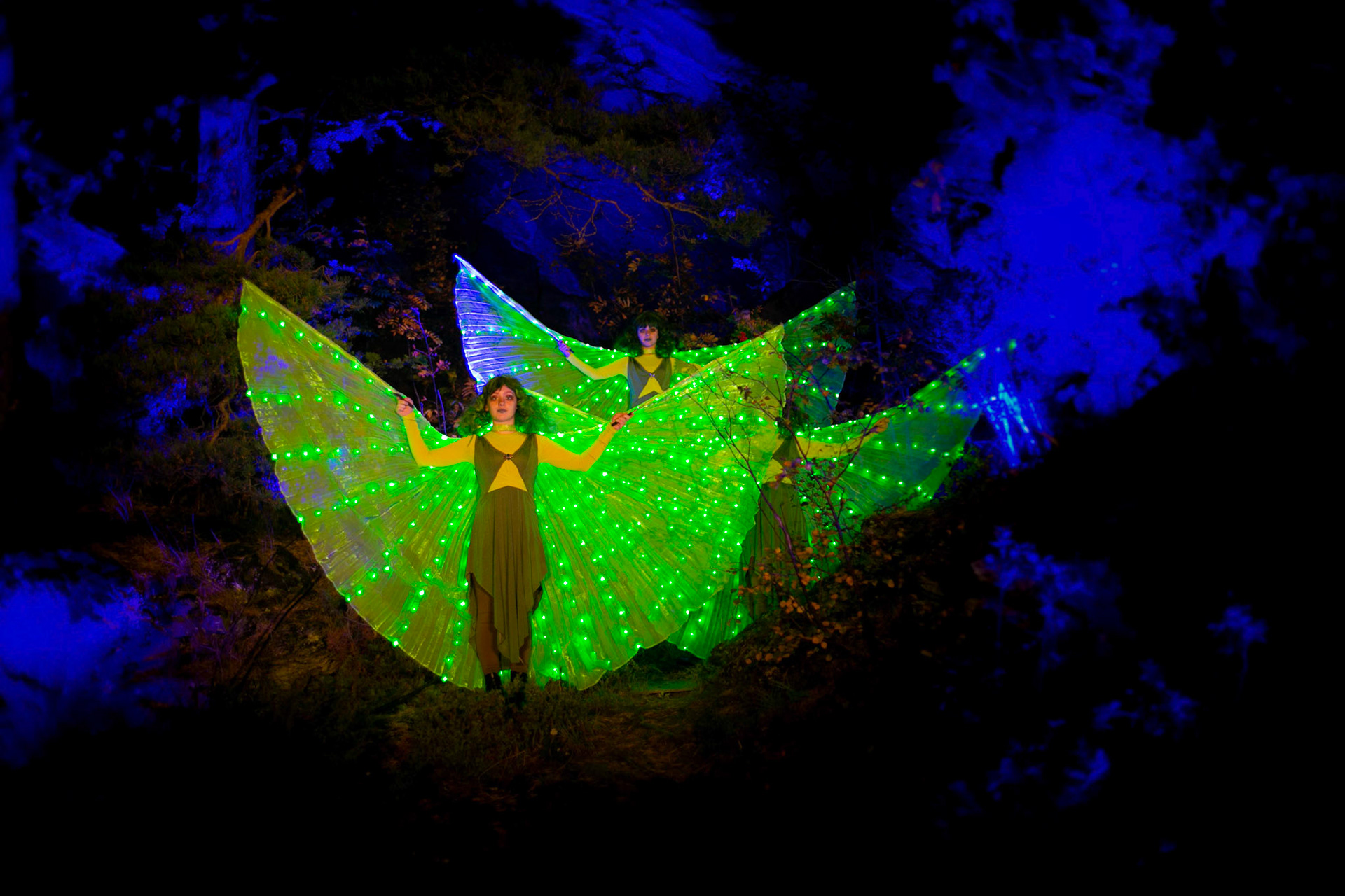 Yggdrasil 2020. Foto: Katarzyna Maria Wieczorek