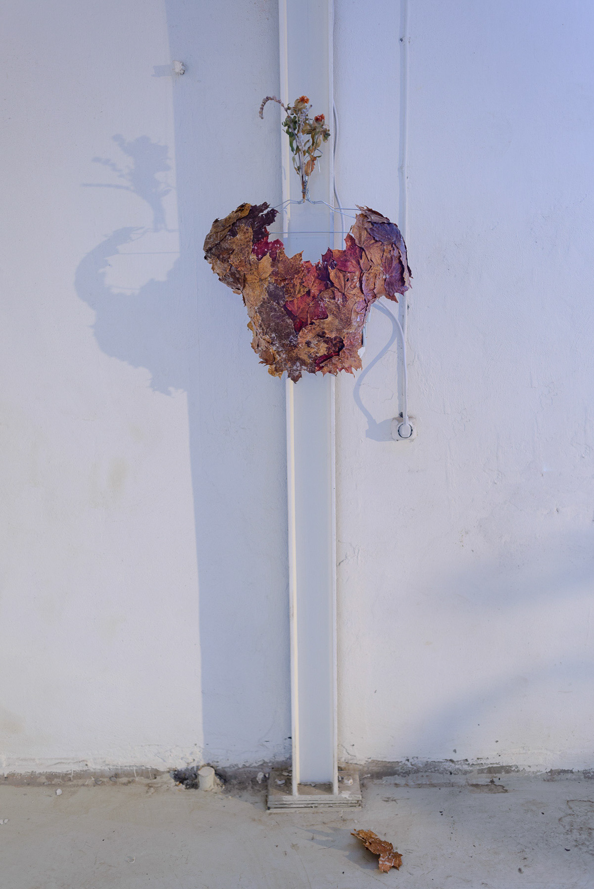 Detalj fra utstillingen på Strandveikaia. Foto: Theodor With