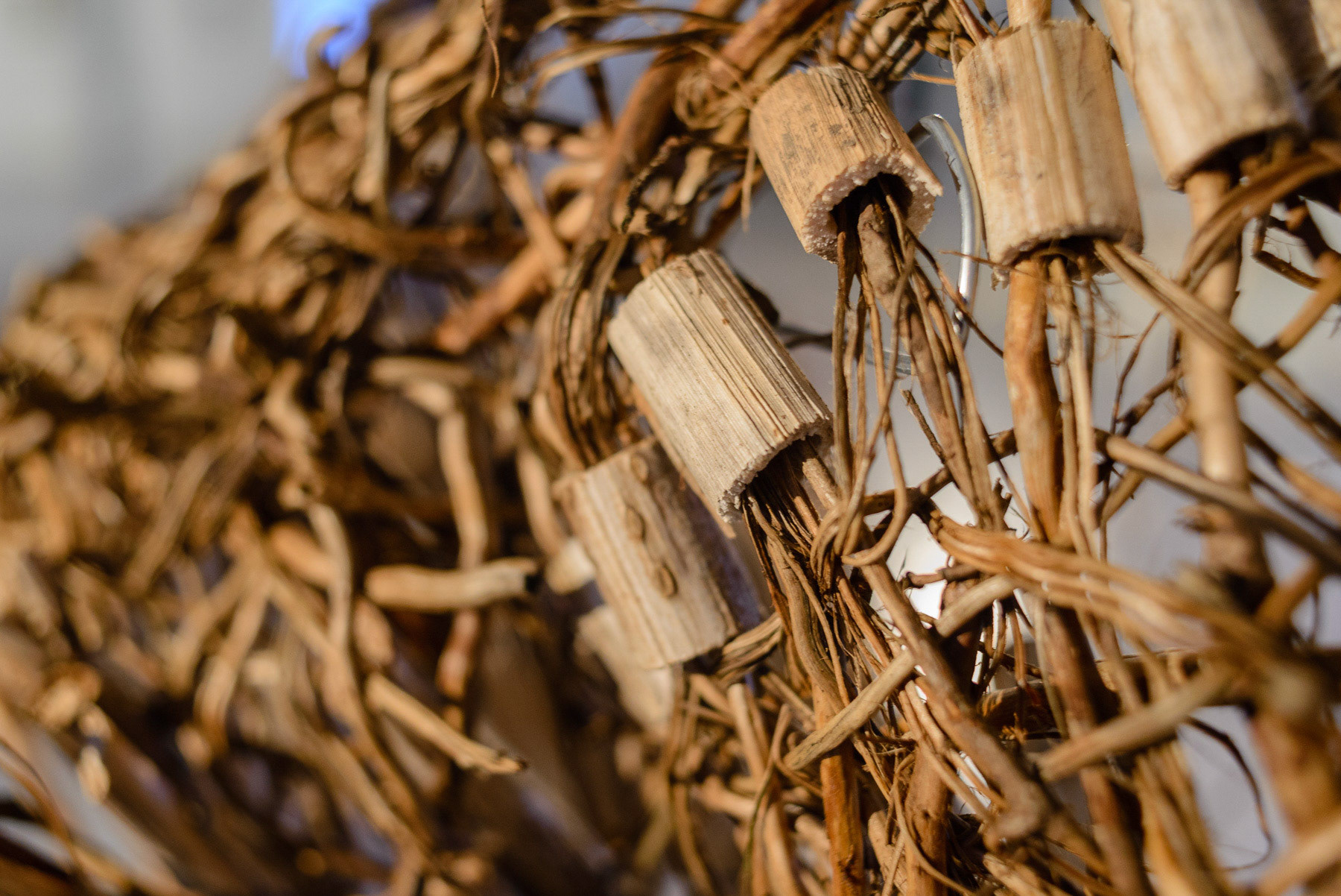 Detalj fra utstillingen på Strandveikaia. Foto: Theodor With
