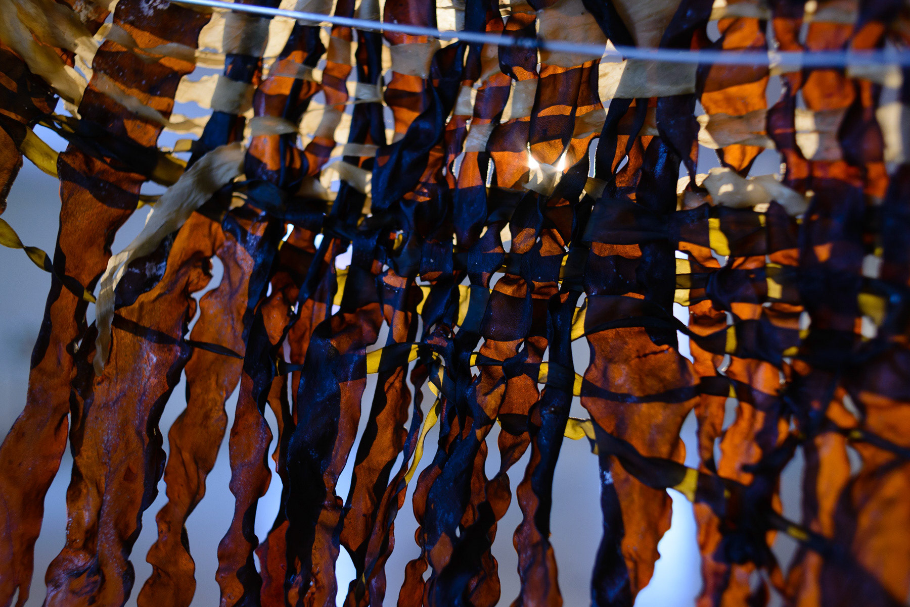 Detalj fra utstillingen på Strandveikaia. Foto: Theodor With