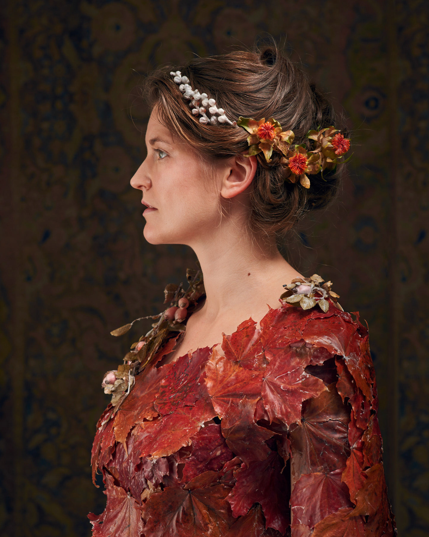 Acer cera II. Foto: Theodor With