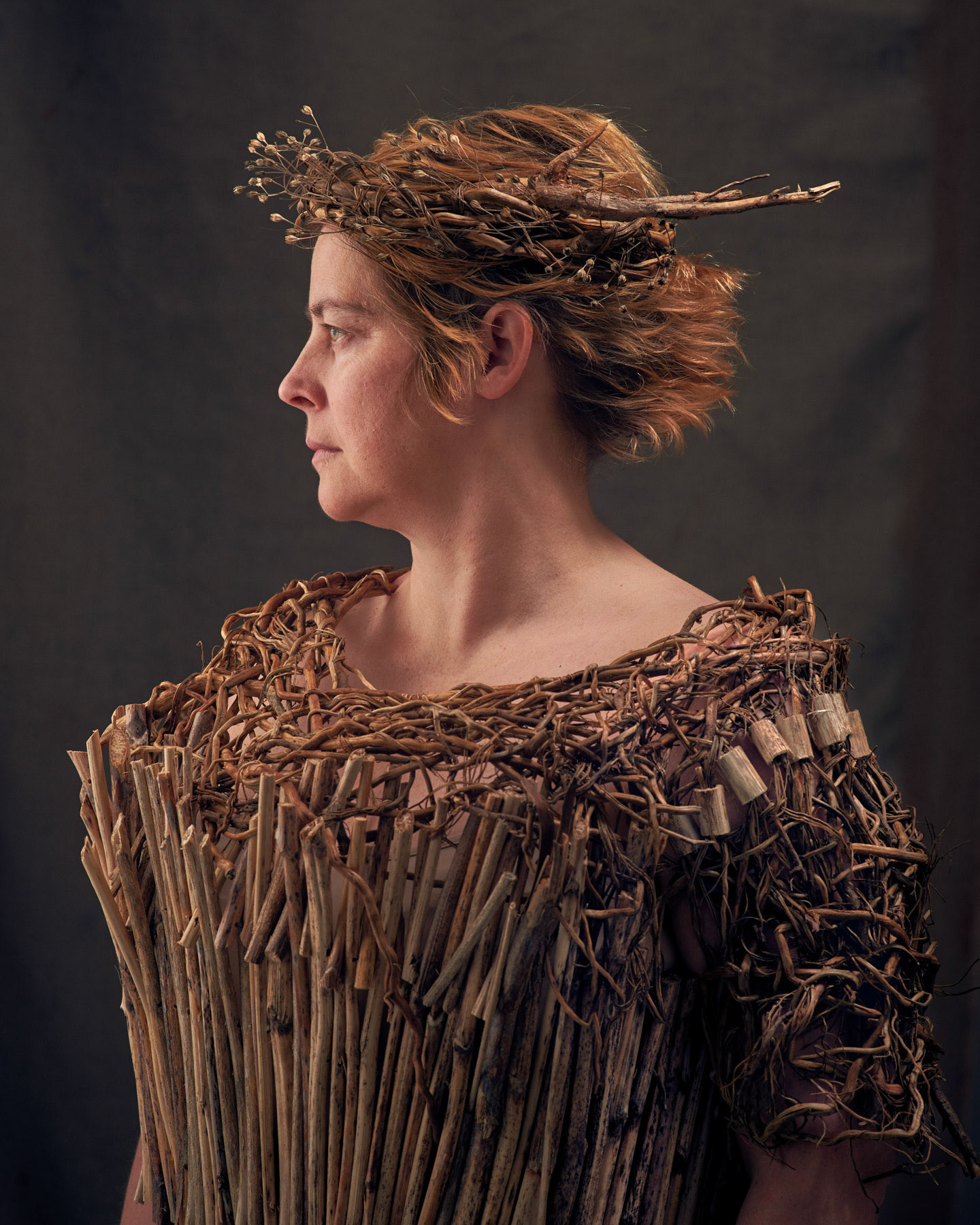 Pinus radix II. Foto: Theodor With