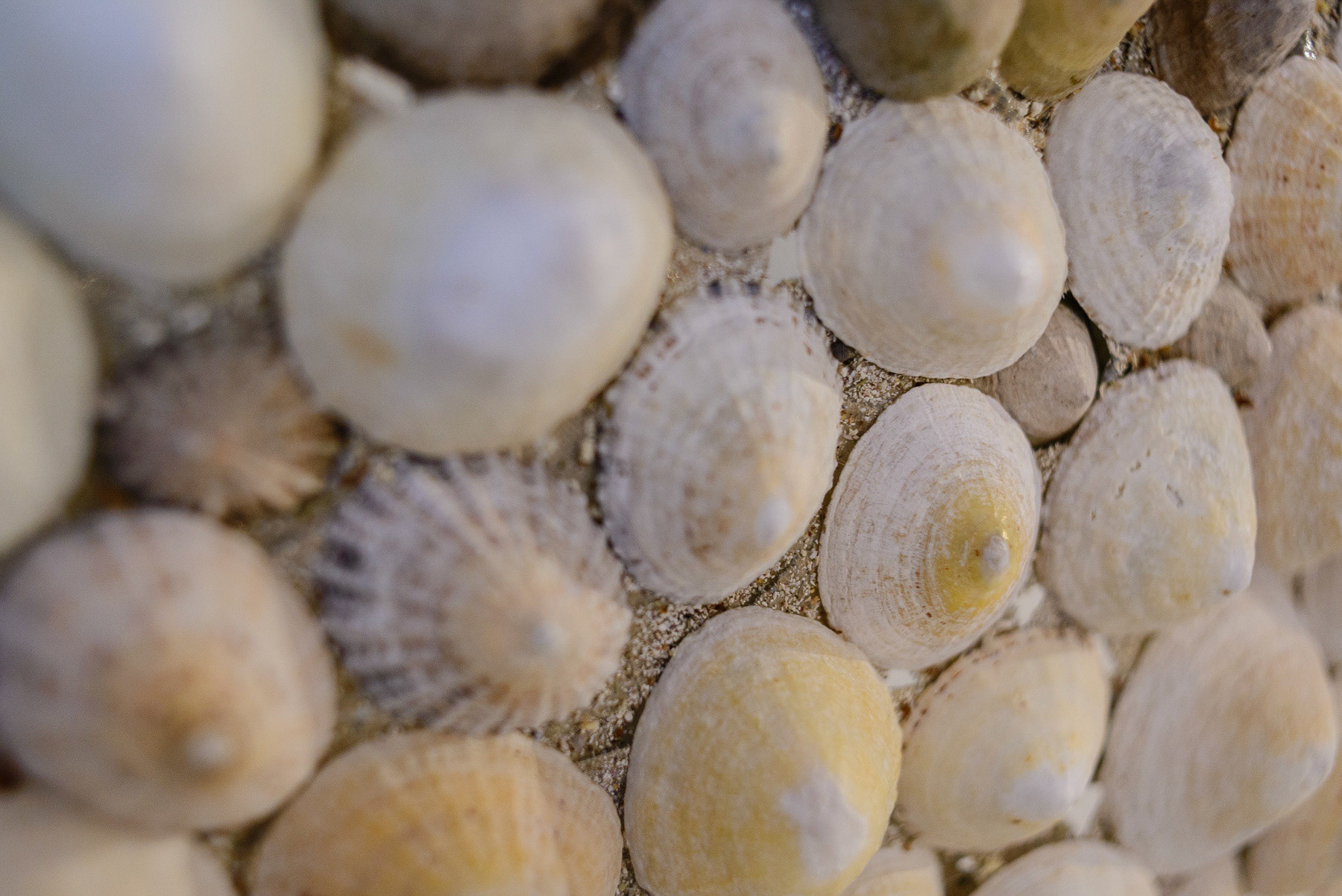 Detalj fra utstillingen på Strandveikaia. Foto: Theodor With
