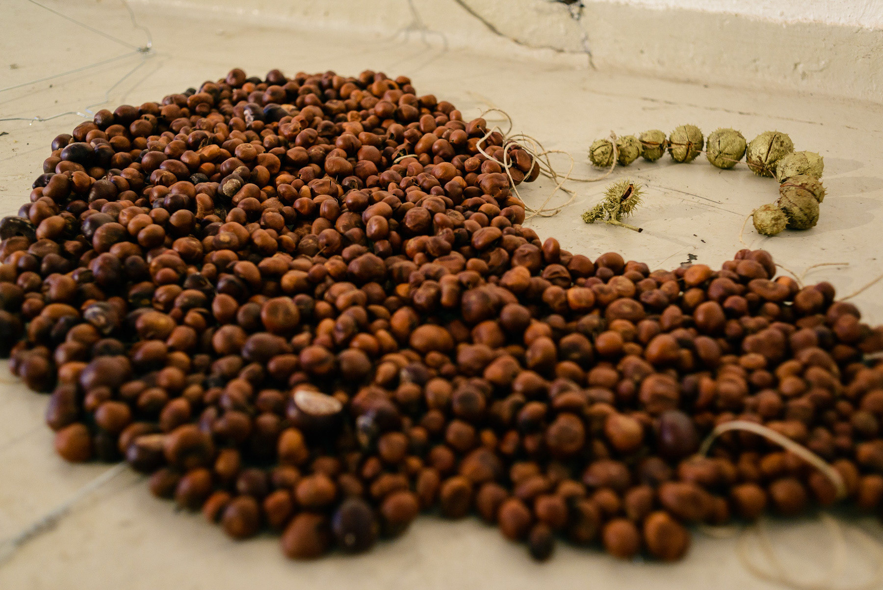 Detalj fra utstillingen på Strandveikaia. Foto: Theodor With