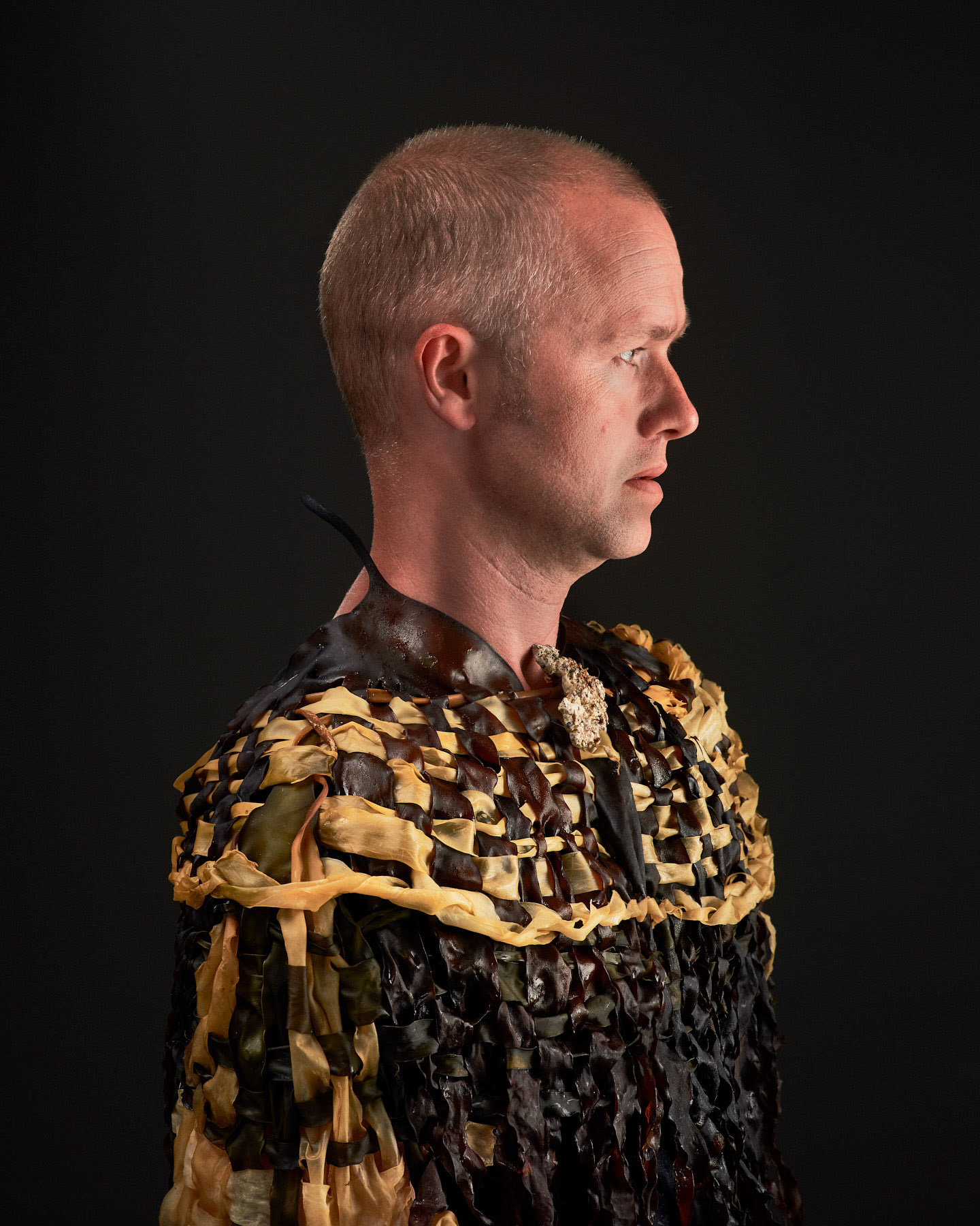 Laminaria digitata II. Foto: Theodor With