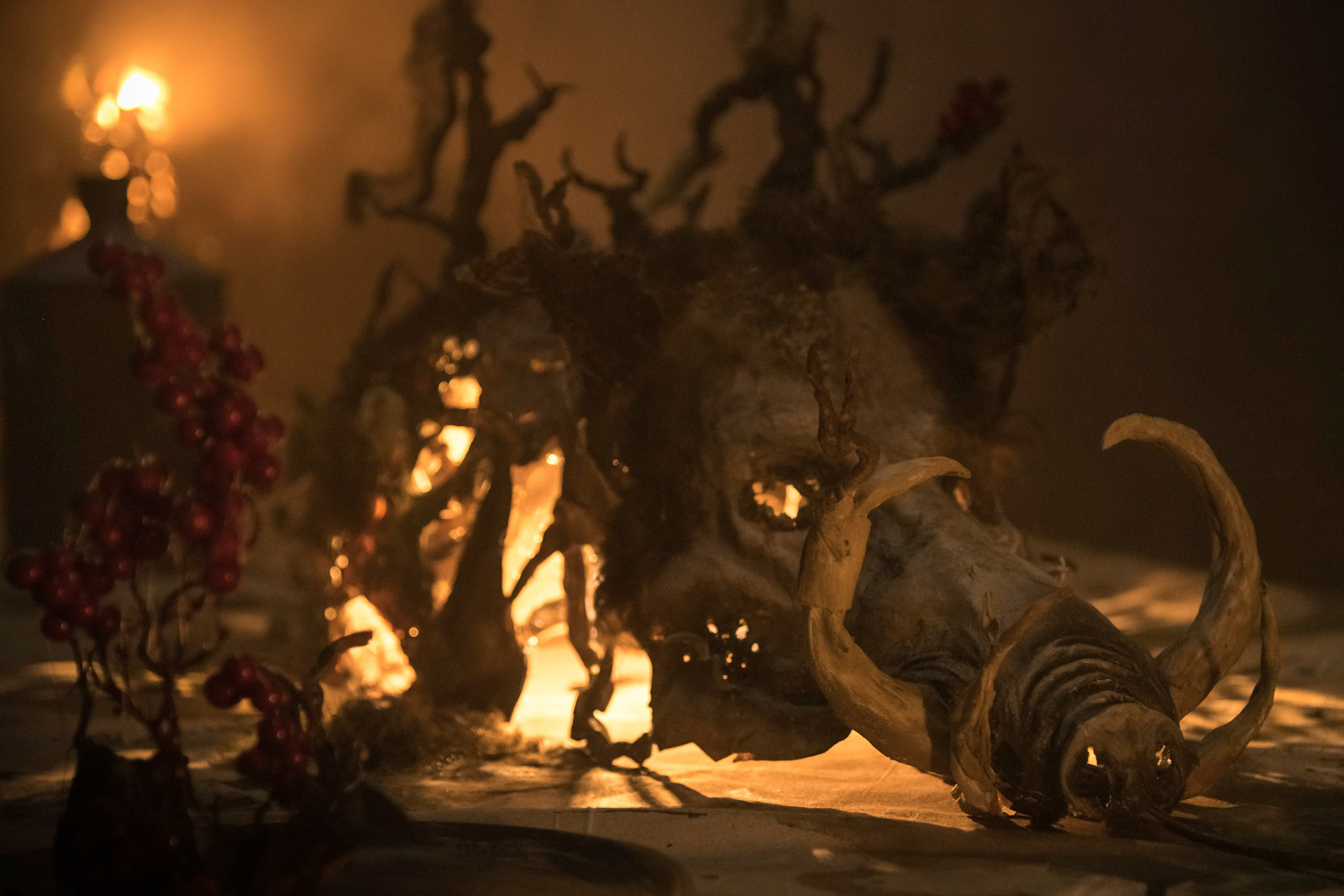 Våkenatt. Foto: Nicola Lolli