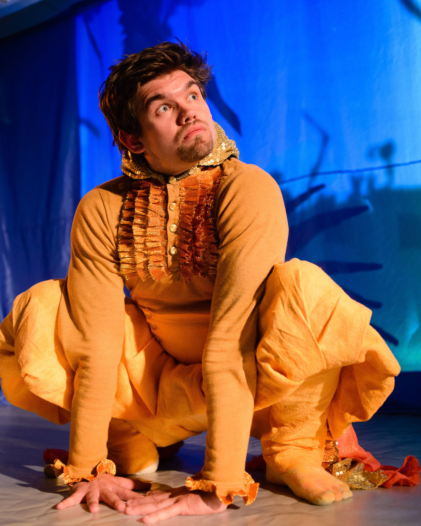 Gullfrosken. Foto: Theodor With