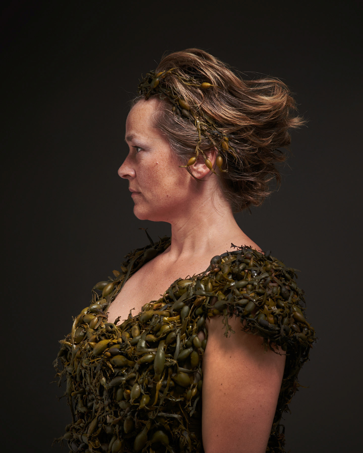 Ascophyllum nodosum II. Foto: Theodor With