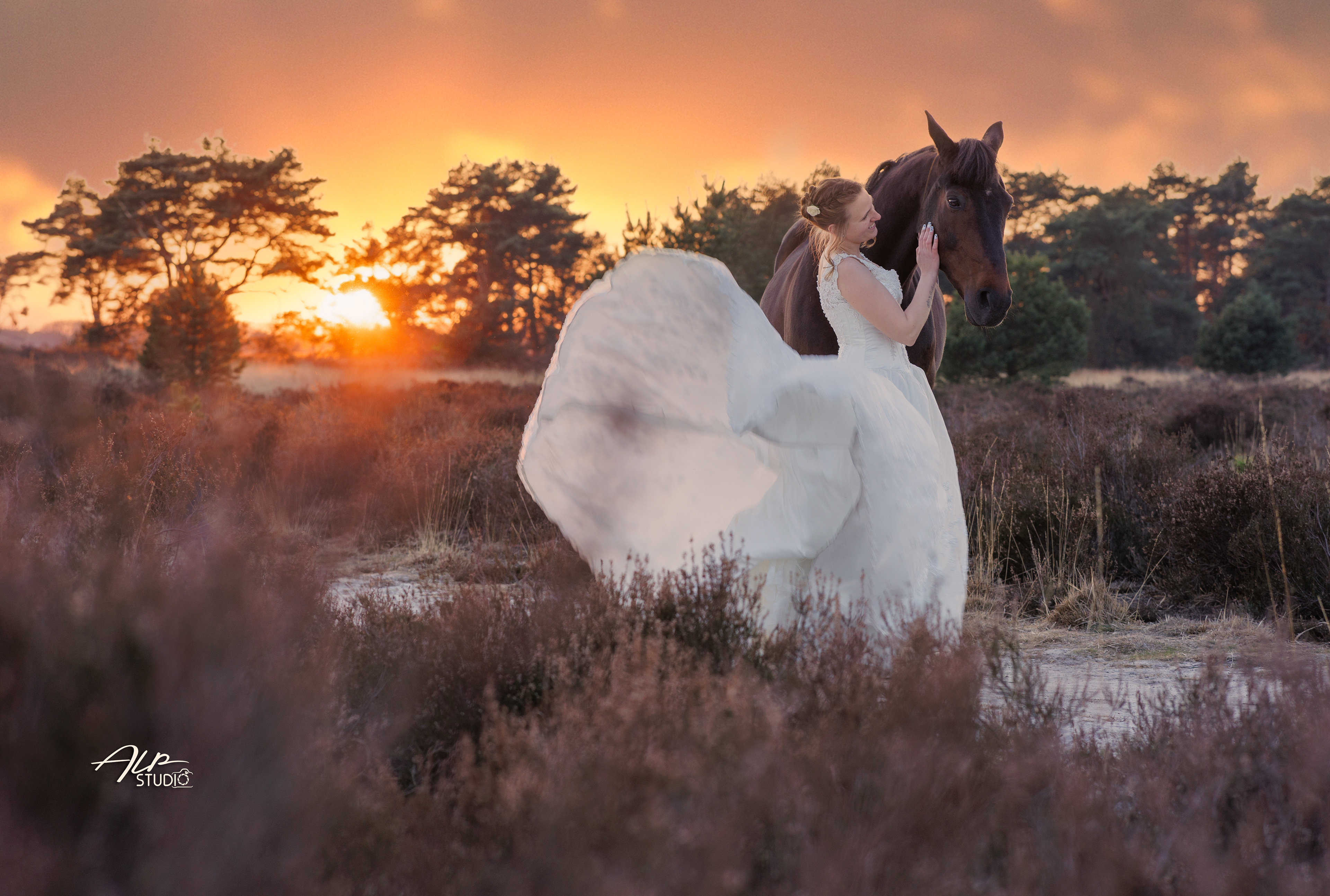 Bruid met paard shoot